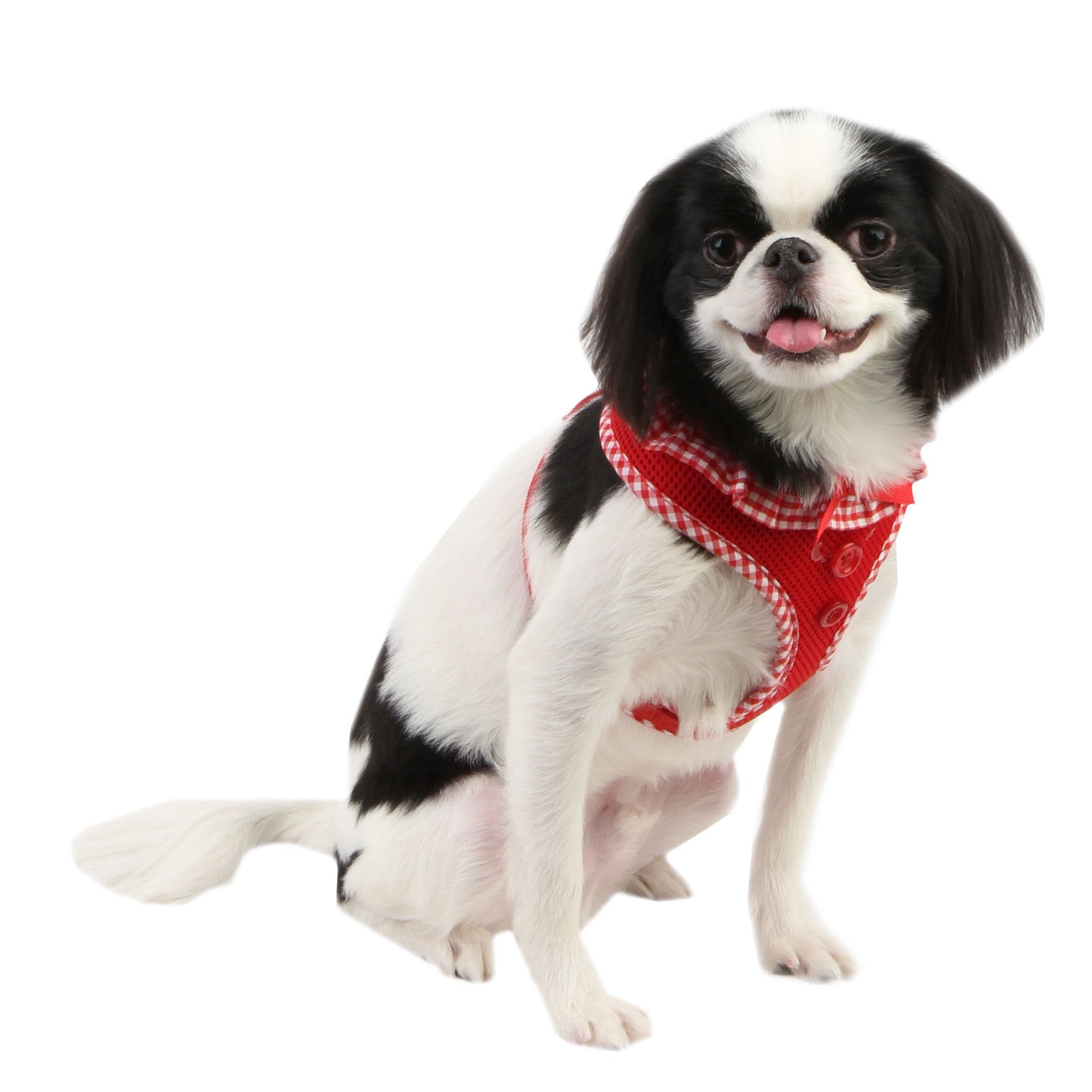 Authentic Puppia Vivien Harness, Red, Small