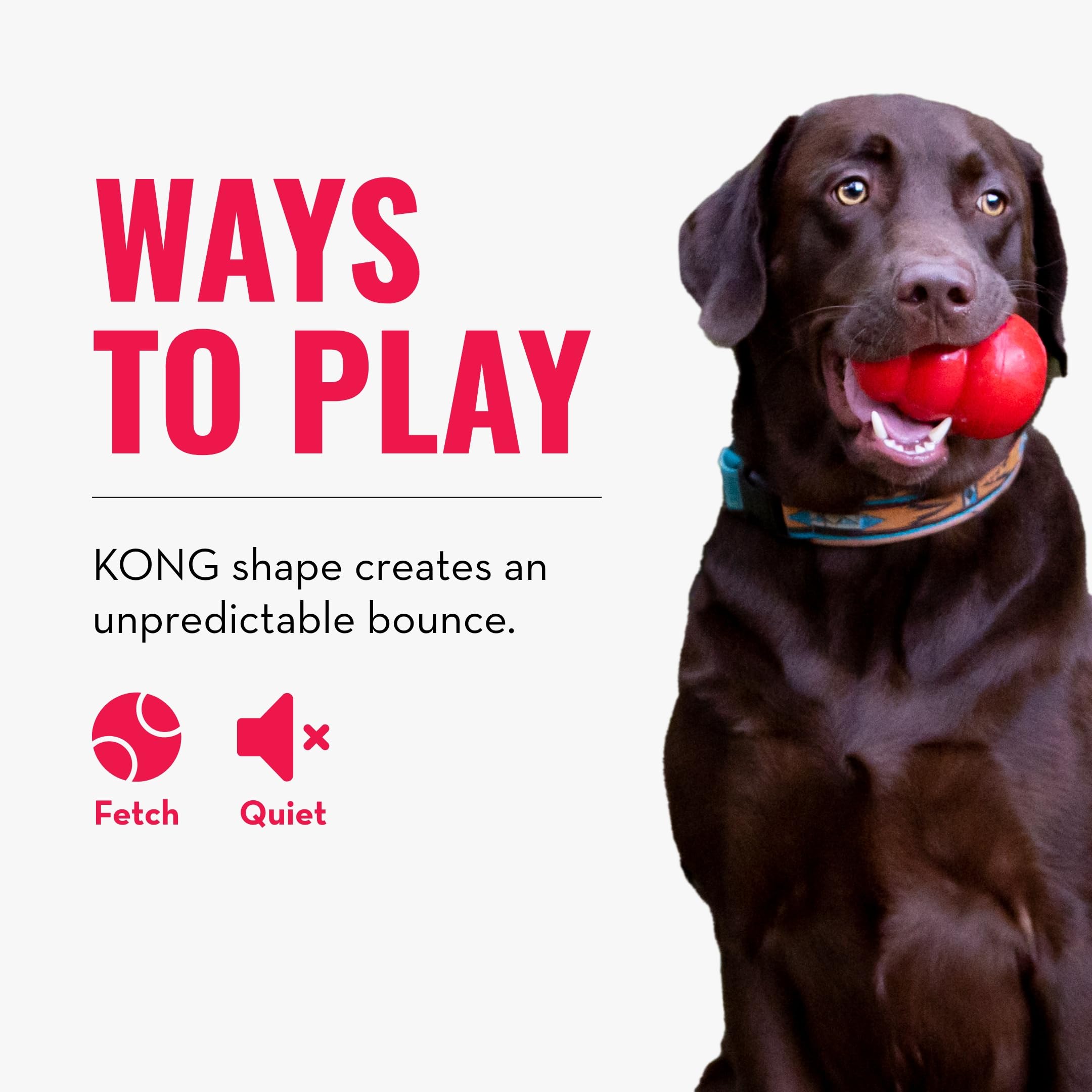 Kong - Bounzer - Medium