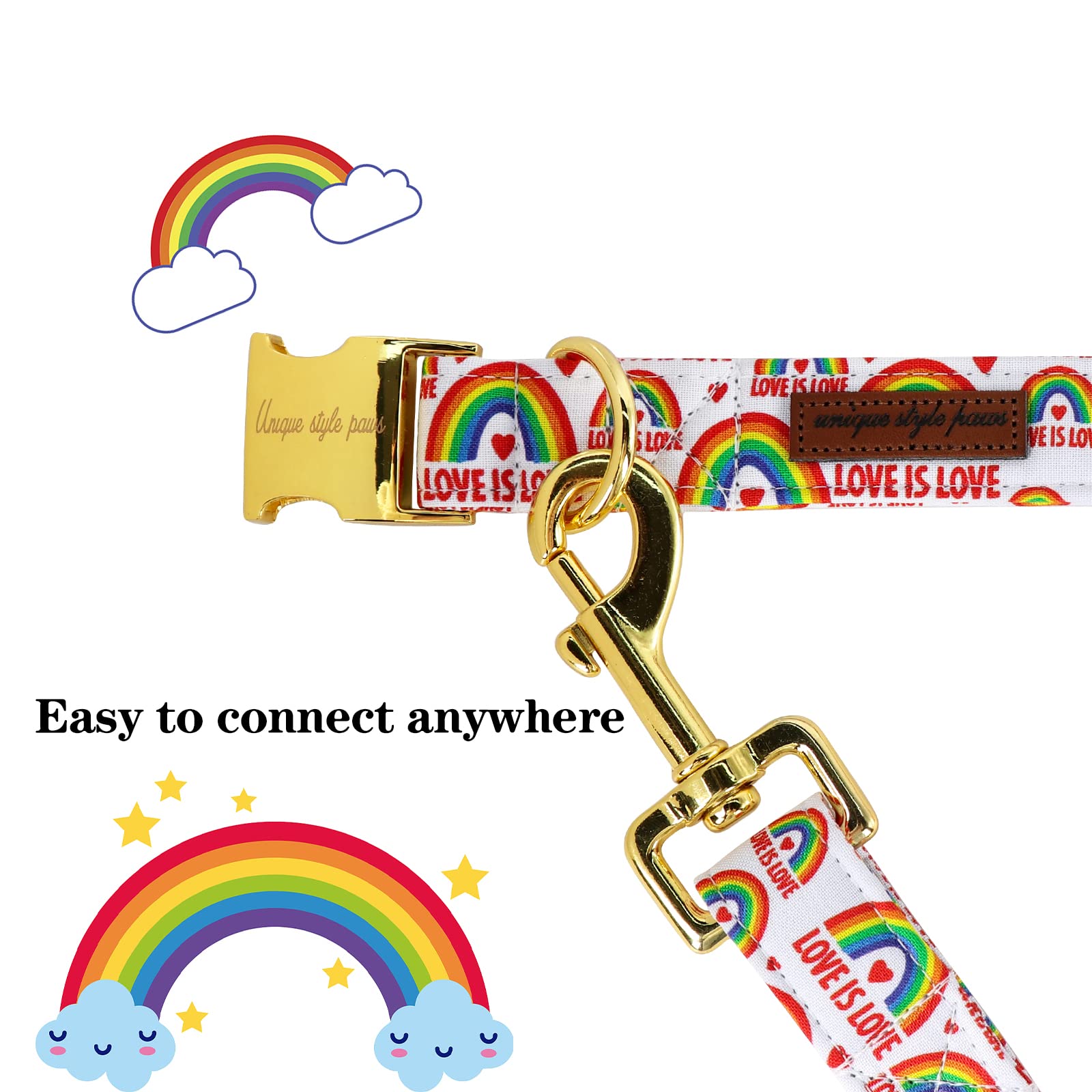 Unique Style Paws Pride Day Rainbow Dog Leash, Love Is Love Best For Small Medium Large Boys Girls Dogs