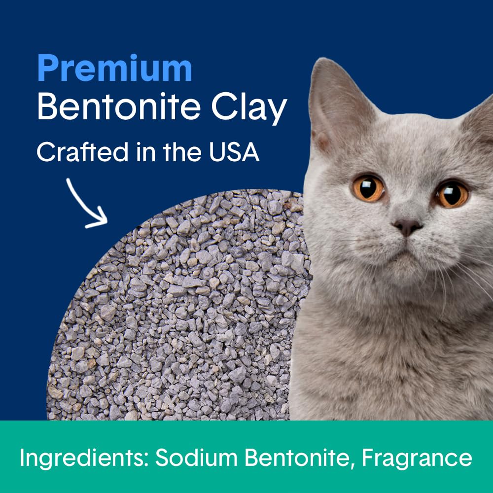 Boxie Gently Scented 30 Day Natural Odor Control Cat Litter, 28lb Clumping Clay Kitty Litter