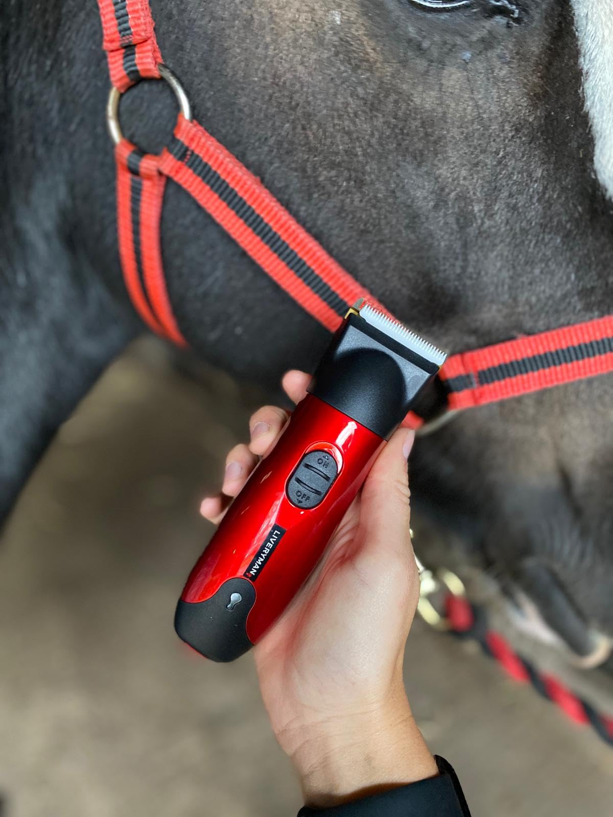 Liveryman Classic Trimmer