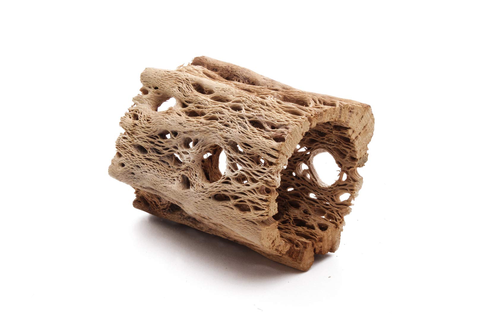 3, 6, 9, 12 Inch All Natural Teddy Bear Cholla Wood Extra Hollow Untreated Organic Aquarium Driftwood Decoration Chew Toy Shrimp