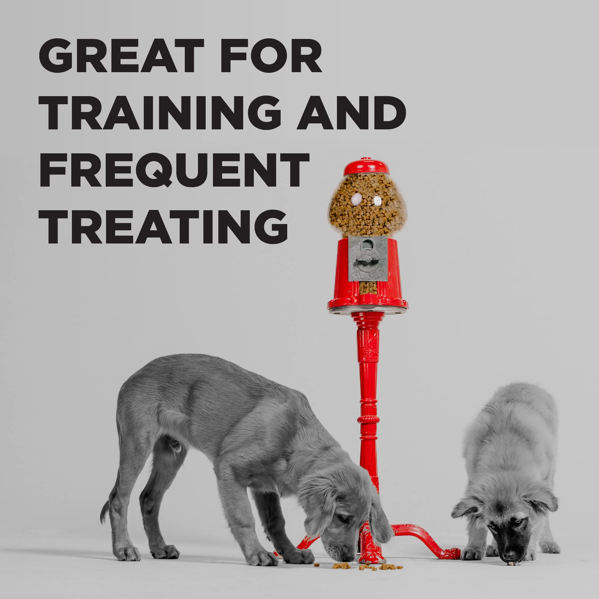 BIXBI Pocket Trainers, Salmon (6 oz, 1 Pouch) - Small Training Treats for Dogs - Low Calorie and Grain Free Dog Treats, Flavorfu