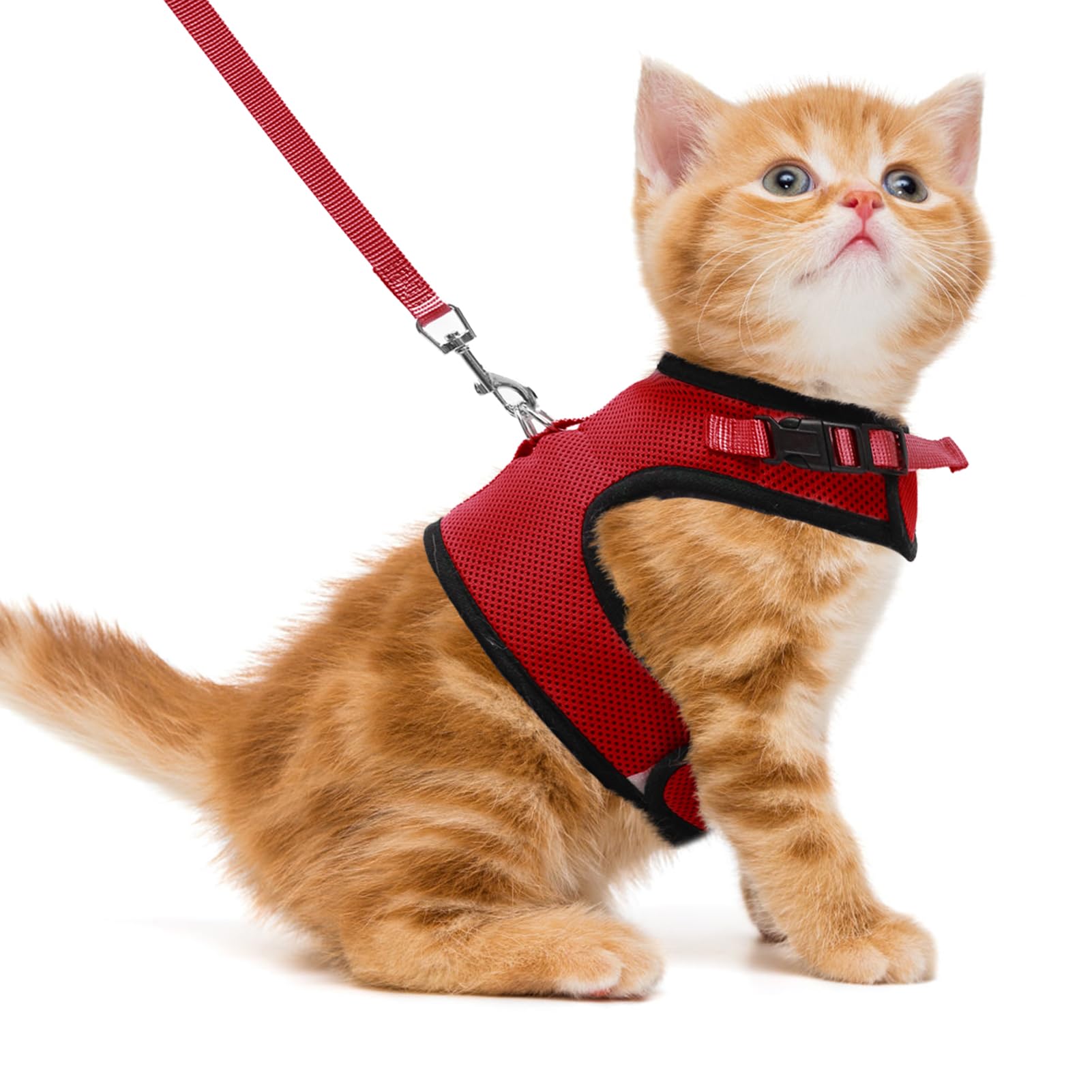 Pupteck Soft Mesh Cat Vest Harness And Leash Set Puppy Padded Pet Harnesses Escape Proof For Cats Small Dogs, Red Medium