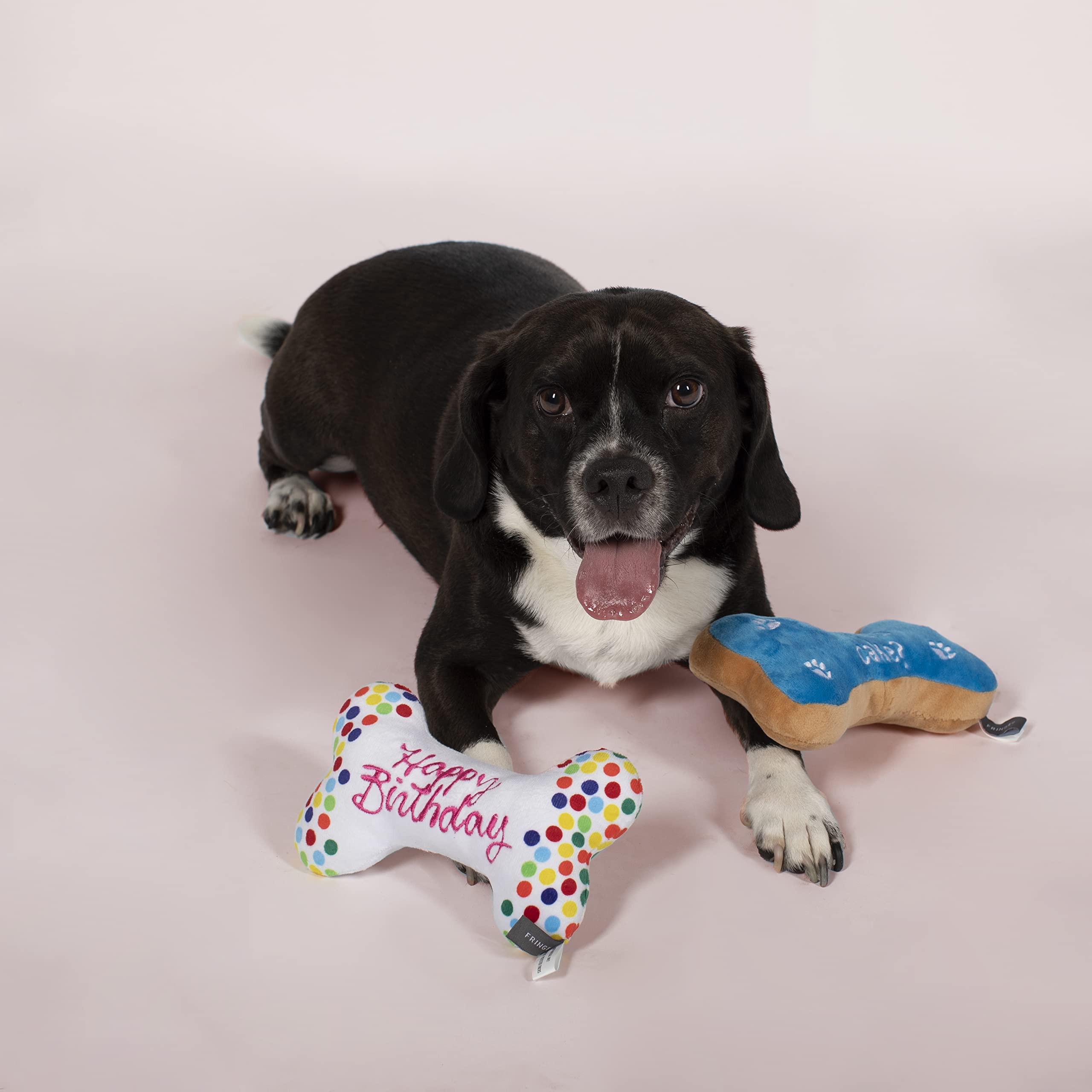 Fringe Studio Birthday Bone Cookies Pet Toy (289332), Multicolor