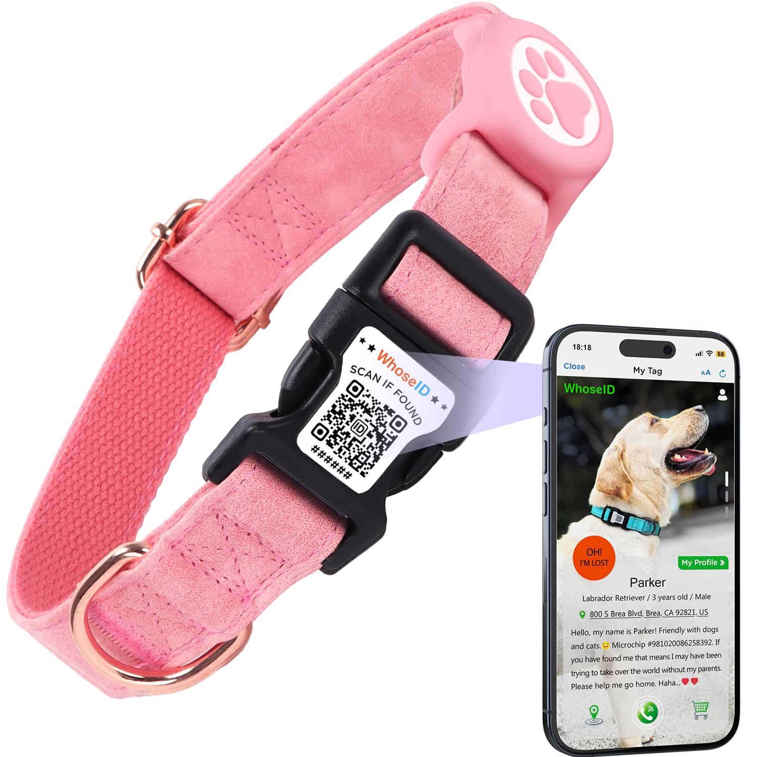 Whoseid Airtag Dog Collar With Qr Code Buckle, Leather Dog Collars With Waterproof Air Tag Holder Adjustable Soft Padded Fit For