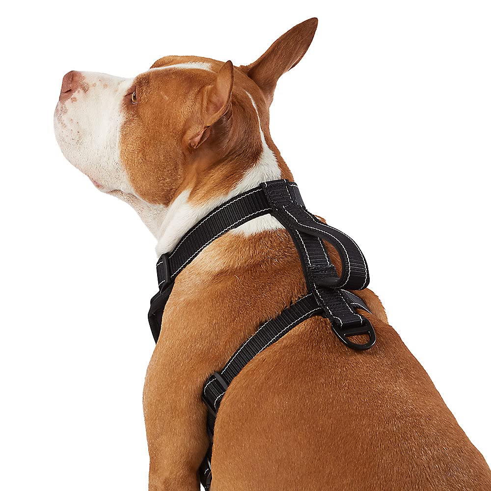 Kong Max Ultra Durable Neoprene Padded Chest Plate Dog Harness Offered By The Barker Company (Black, Medium)