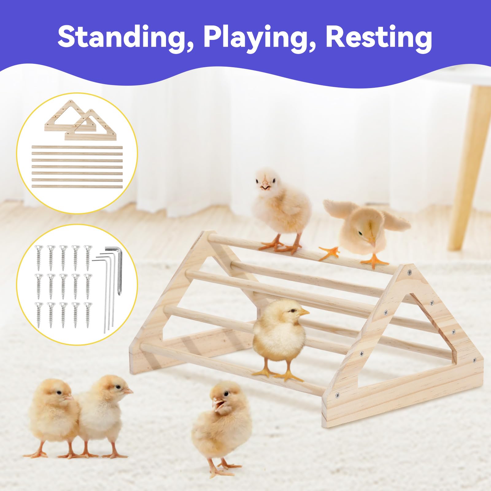 Pawaboo 5-in-1 Chicken Brooder Box for Chick Starter Kit, Includes Pet Cage Tent, Chicks Perch, Chicks Feeder, 1.1L Chick Watere