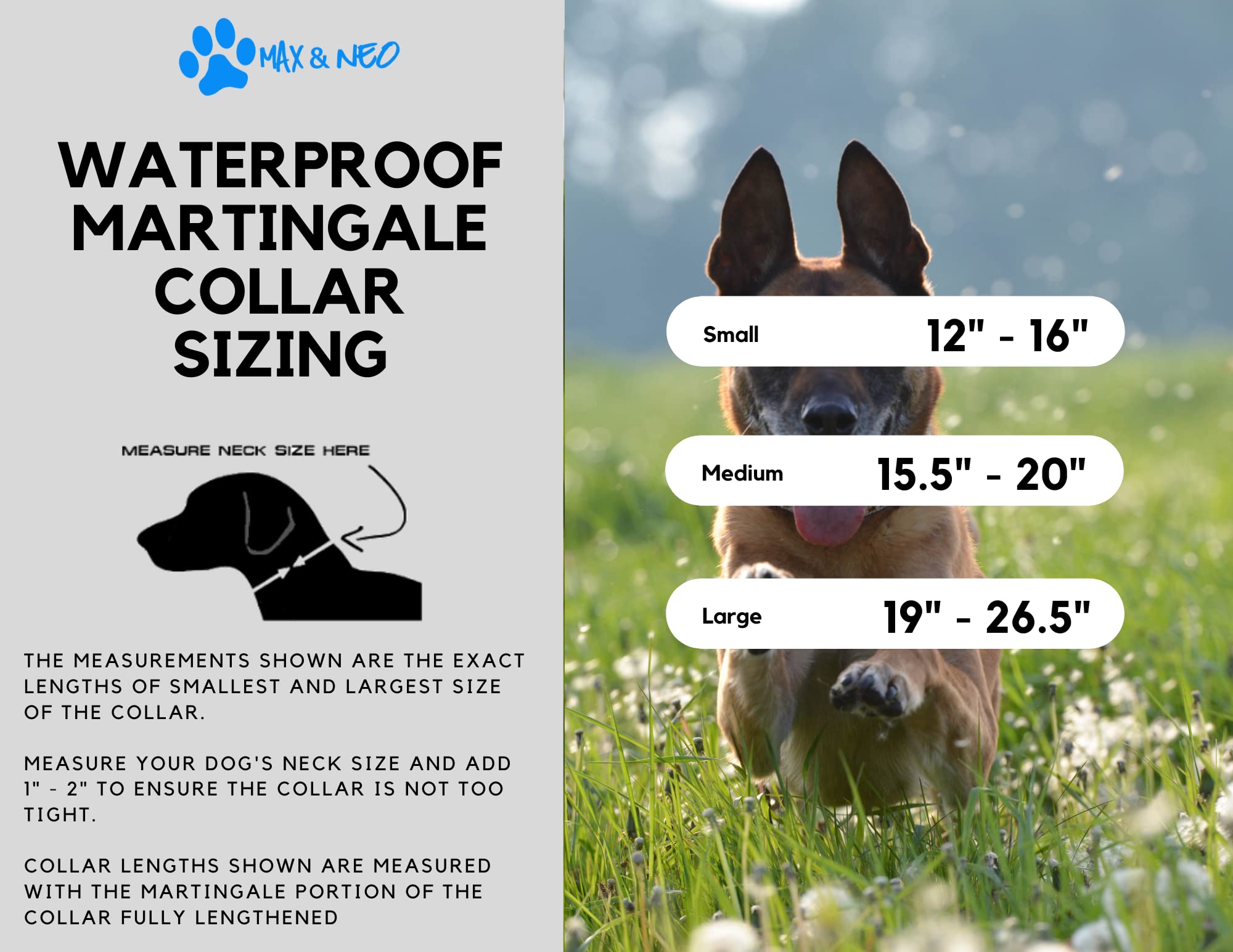 Max And Neo Waterproof Martingale Dog Collar - We Donate A Collar To A Dog Rescue For Every Collar Sold (Large, Blue)