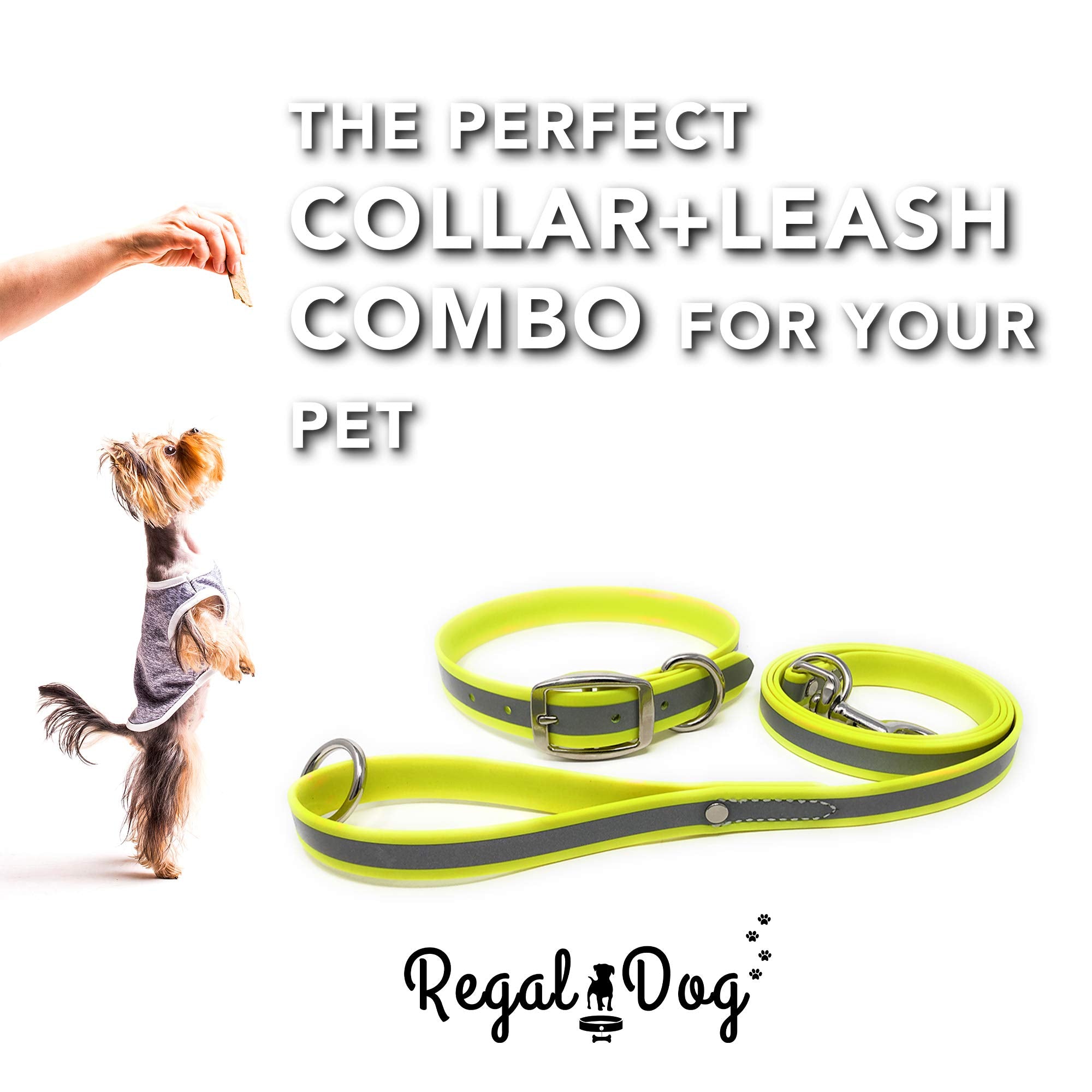 Regal Dog Products Small Yellow Reflective Dog Collar And Leash Set - Waterproof Biothane Dog Collar With Heavy Duty Double Buck