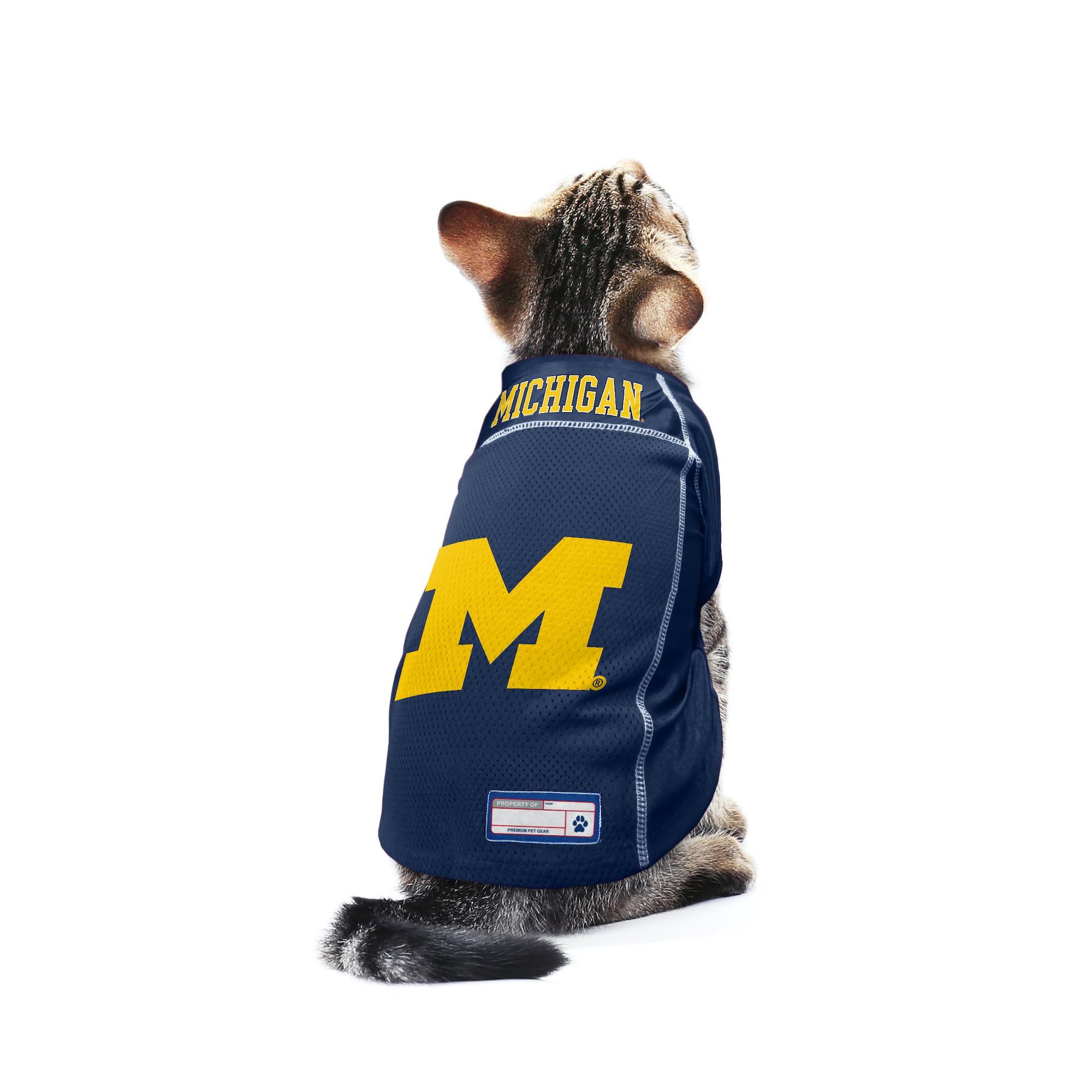 Littlearth Unisex-Adult Ncaa Michigan Wolverines Basic Pet Jersey, Team Color, X-Small