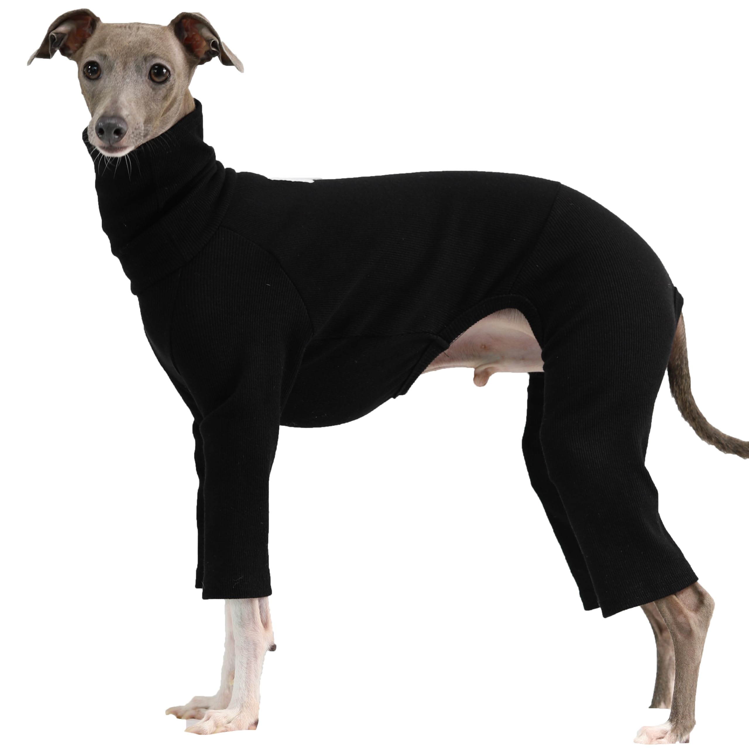 D Doggy Star Italian Greyhound Clothes Stretchable Onesie Whippet For Dog (2Xl,Ribbed Black)