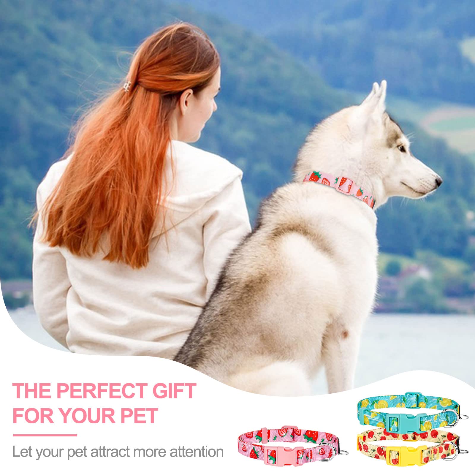 Azuza 3 Pack Fruit Design Dog Collars Comfortable And Adjustable Nylon Dog Collars For Puppy Small Dogs, Xs (8-12Inch),Strawberr
