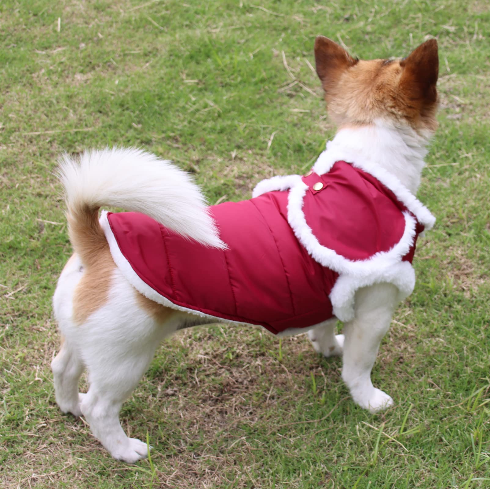 Joydaog Shawl Design Fleece Lined Warm Dog Jacket For Puppy Winter Cold Weather,Soft Windproof Small Dog Coat,Red S