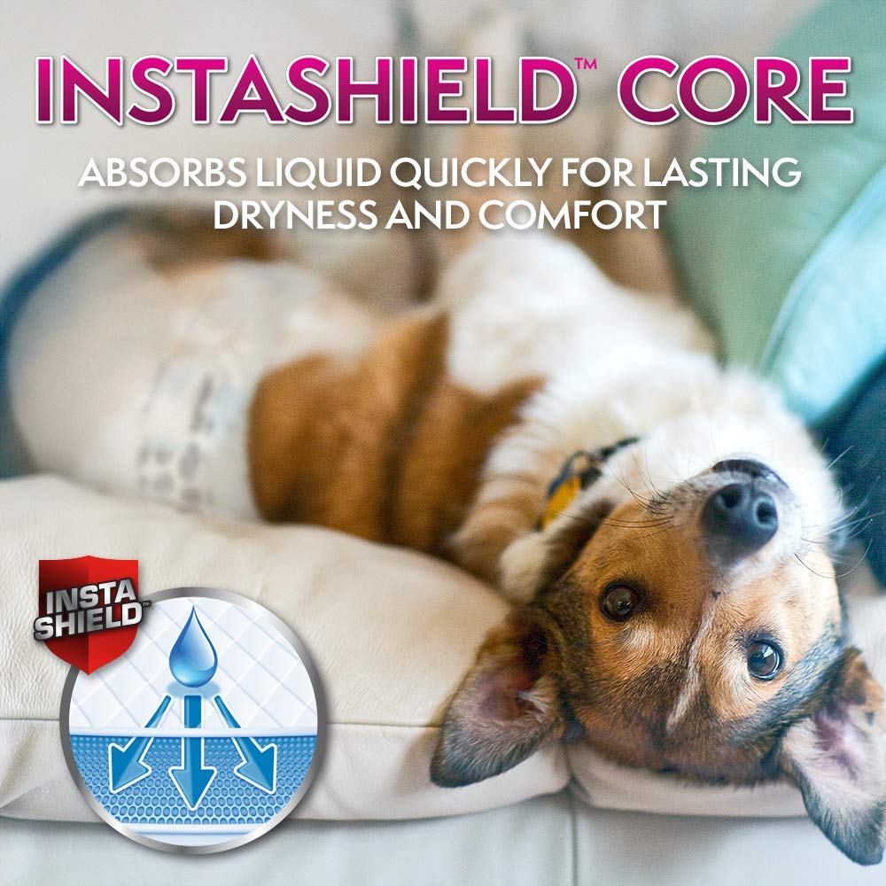 Simple Solution True Fit Disposable Dog Diapers For Female Dogs | Super Absorbent With Wetness Indicator | Xs/Toy | 30 Count