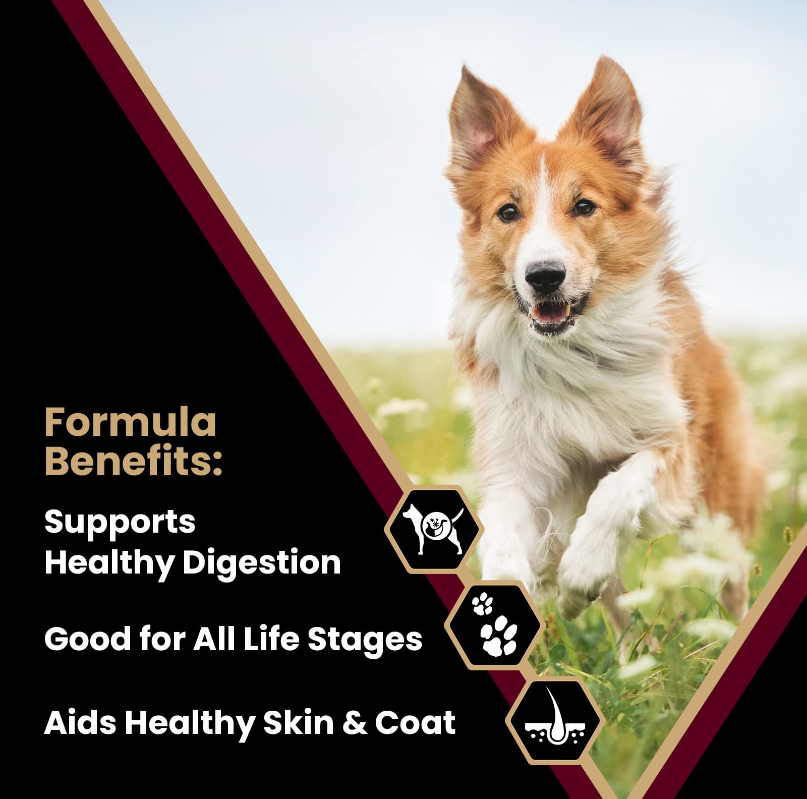 VICTOR Super Premium Dog Food - Lamb Meal & Brown Rice Formula - Gluten-Free Dry Dog Food for All Normally Active Dogs of All Li