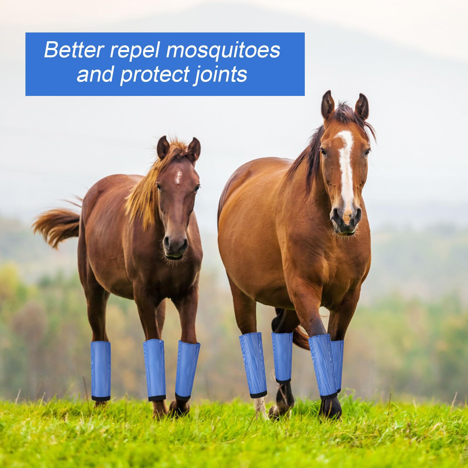 Bulyoou Set of 16 Mesh Fly Boots for Horse Breathable Mesh Horse Boots Protective Horse Leg Wraps Horse Leggings for Preventing