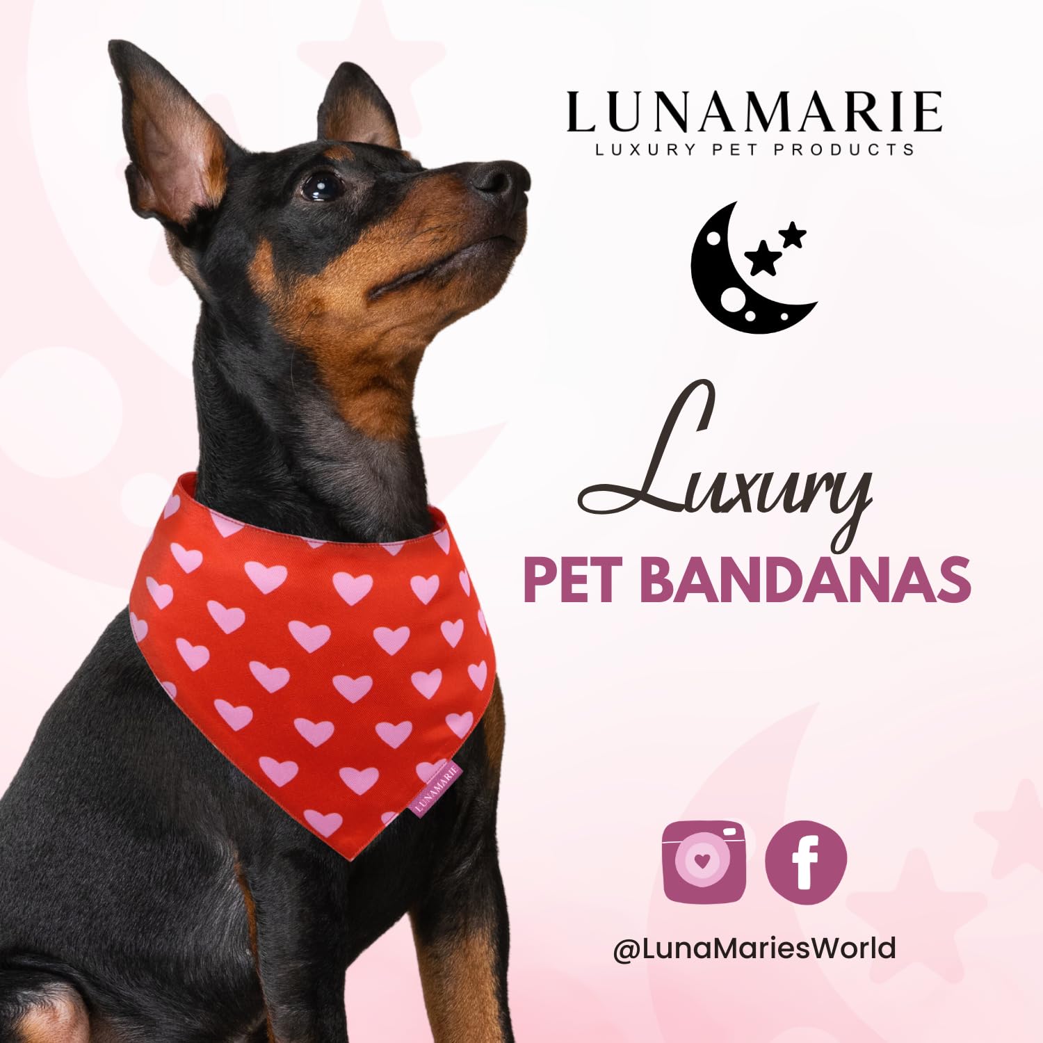Lunamarie - Luxury Pet Birthday Bandanas -Premium & Silky Poly Fabric | 100% Handmade | Custom Shape Dual Layered (Evie Hearts,