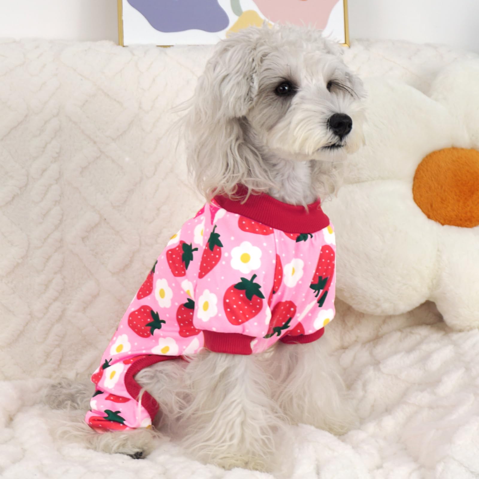 Xpudac Dog Pajamas For Small Medium Dogs, Strechy Soft Dog Clothes For Dogs Girl Boy Pet Jumpsuit, Cat Onesie-2Xl