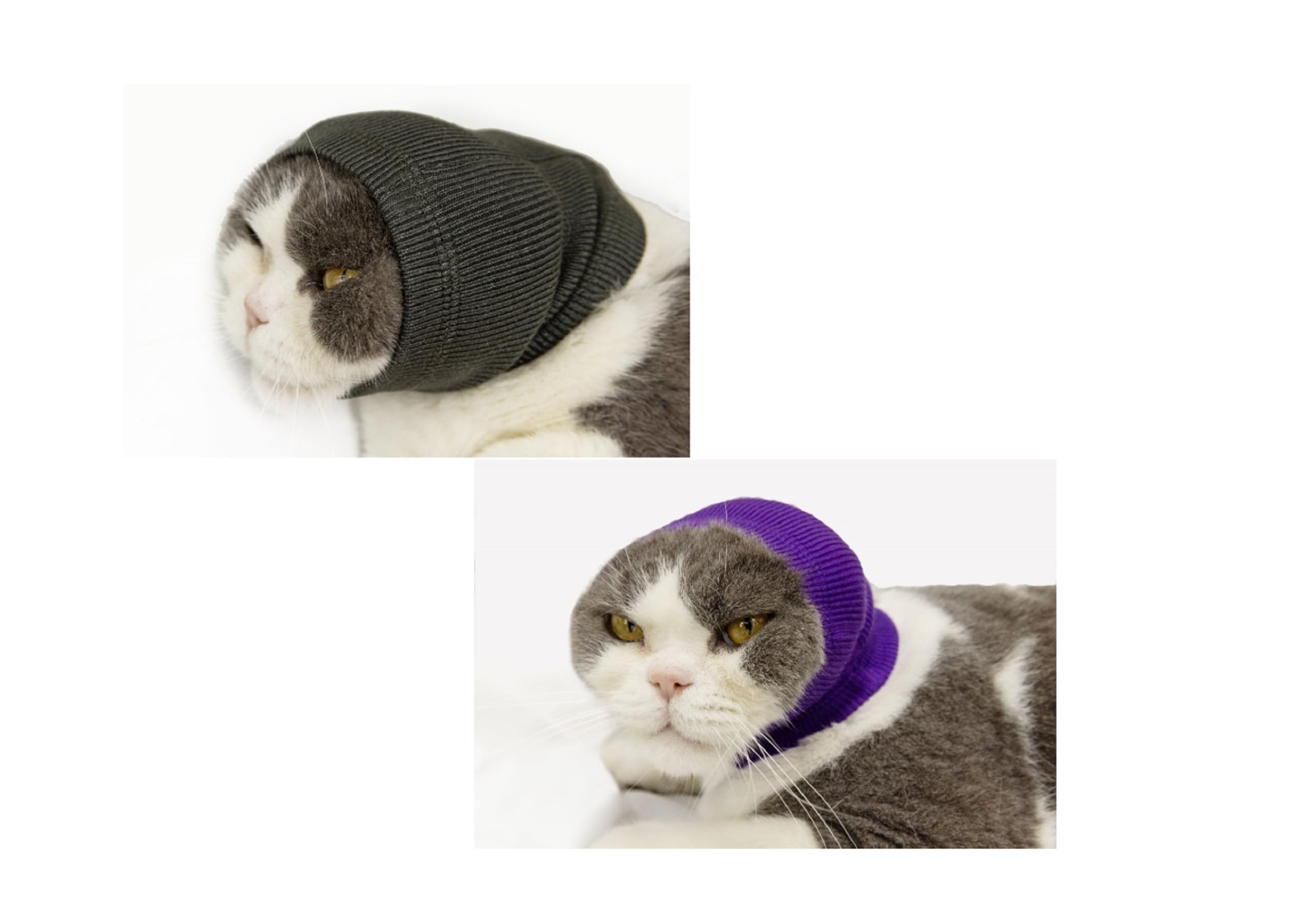 Ddfs Cat Ear Cover Head Wrap (2 Pack), Ear Wrap Cat L Headband Ears Head Scarf Ear Wrap For Cats Grey+Purple S