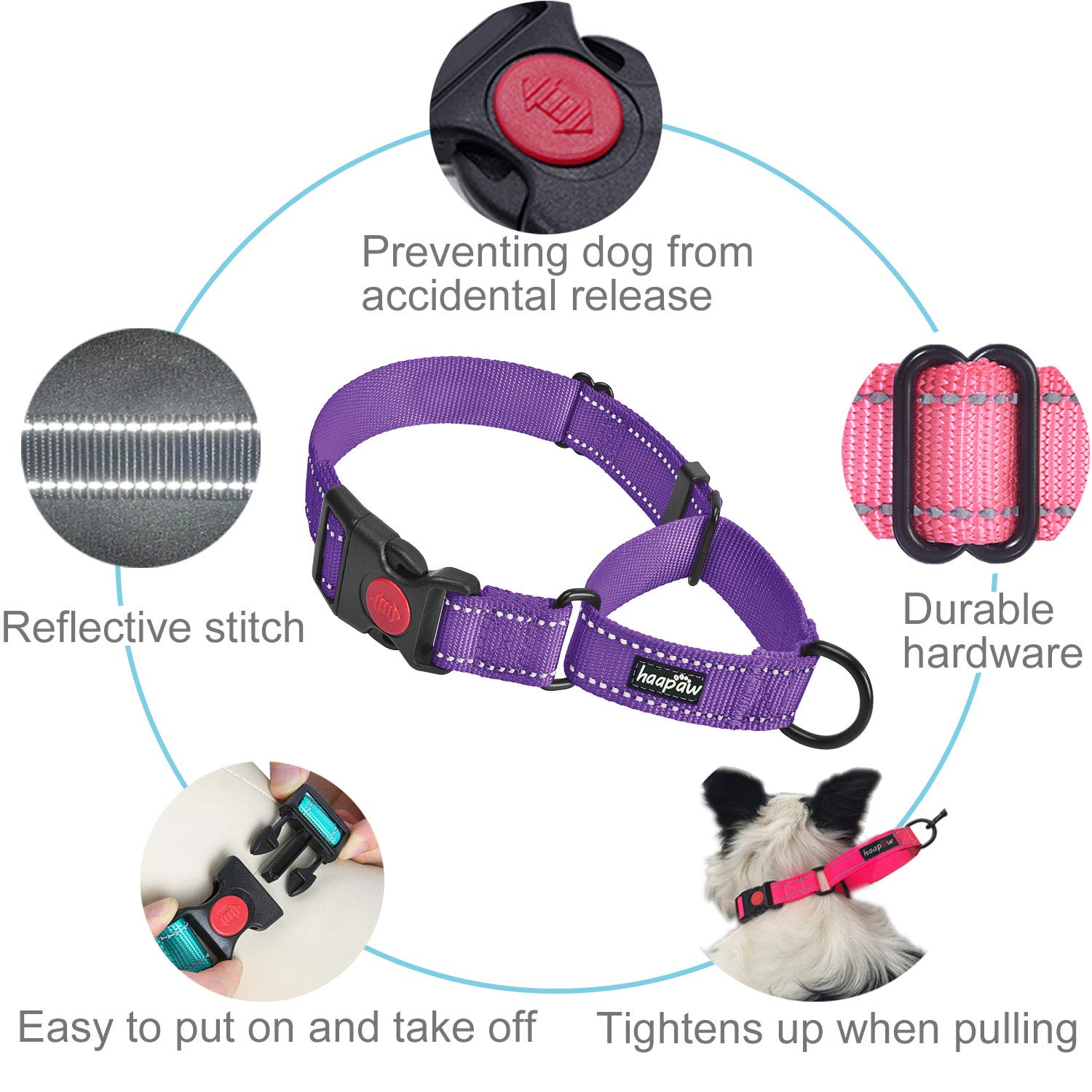 Haapaw Martingale Dog Collar - Reflective Nylon Training Collars for Small Dogs, 2 Packs, Purple
