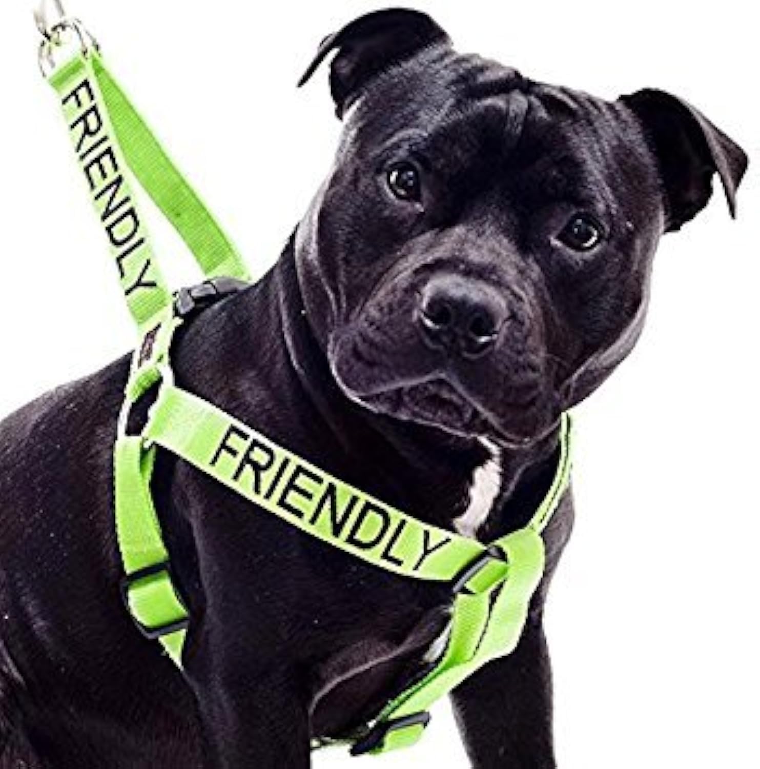 Friendly (Known As Friendly To All) Green Colour Coded Non Pull L-Xl Dog Harness Prevents Accidents By Warning Others Of Your Do