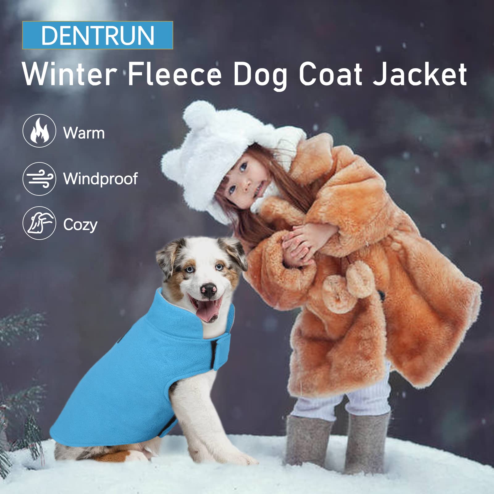 DENTRUN Windproof Winter Warm Fleece Small Dog Coat Reversible Puppy Jacket Reflective Soft Pet Vest, Cold Weather Dog Sweater A