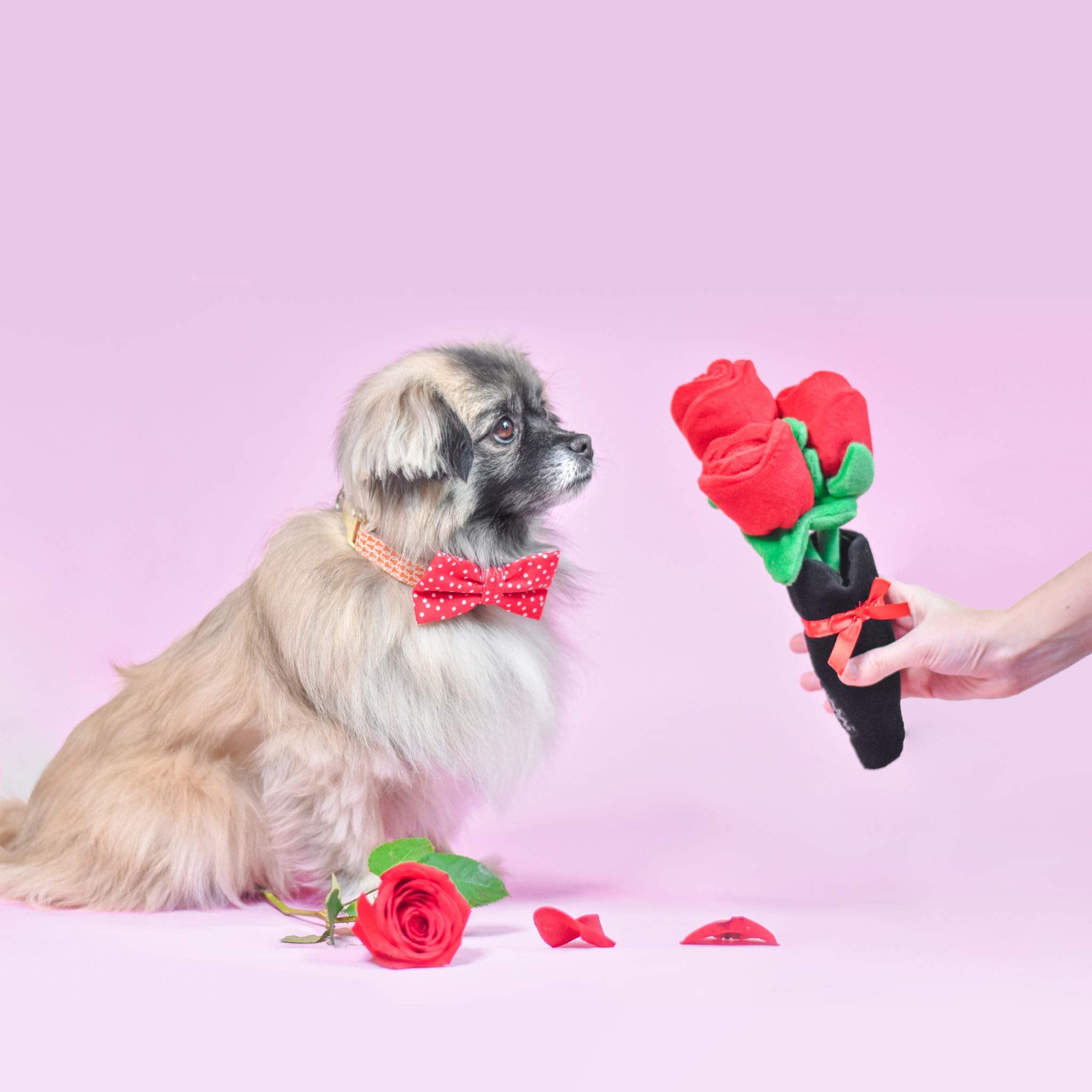 Zippypaws Burrow, Valentine'S Day Bouquet Of Red Roses - Interactive Dog Toys For Boredom - Hide And Seek Dog Toys, Colorful Squeaky Dog Toys For Small & Medium Dogs, Plush Dog Puzzles