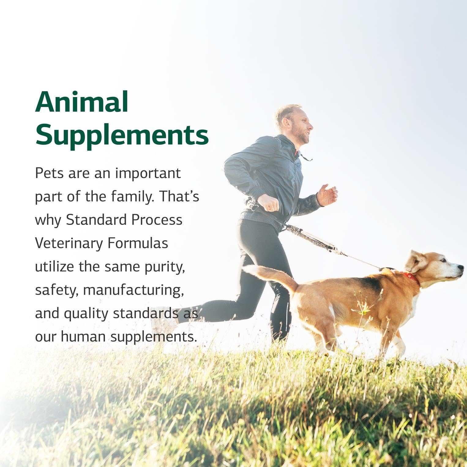 Standard Process Canine Hepatic Support - Dog Supplement to Aid Liver Health - Hepatic Immune Function & Liver Metabolism Suppor