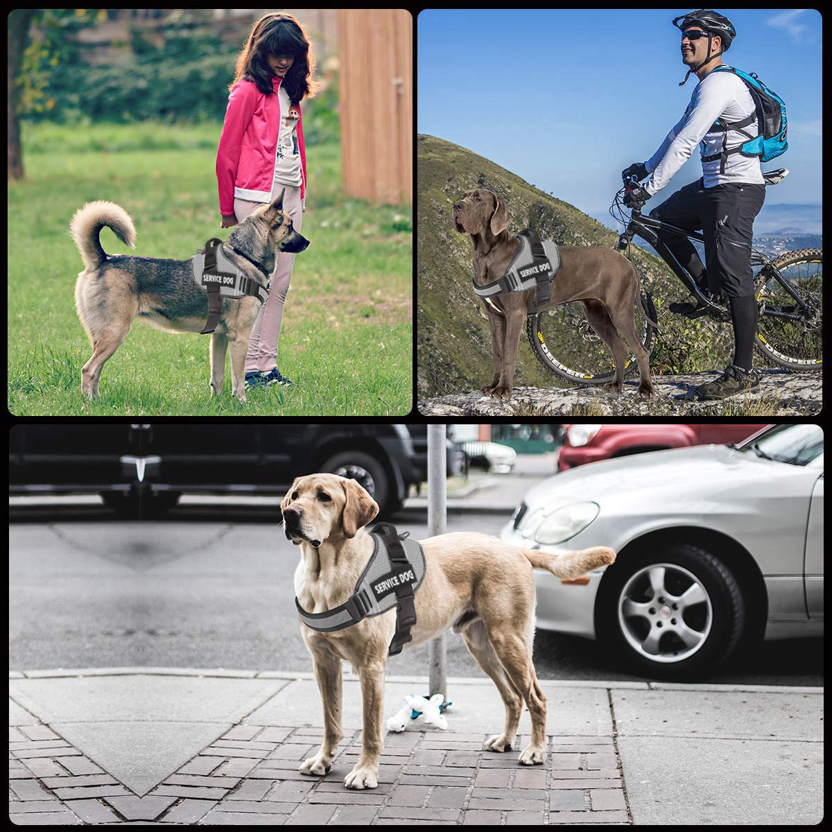 Jsxd Dog Harness,No-Pull Service Dog Harness With Handle Adjustable Outdoor Pet Dog Vest 6M Reflective Nylon Material Vest For Breeds,Easy Control For Small Medium Large Dogs