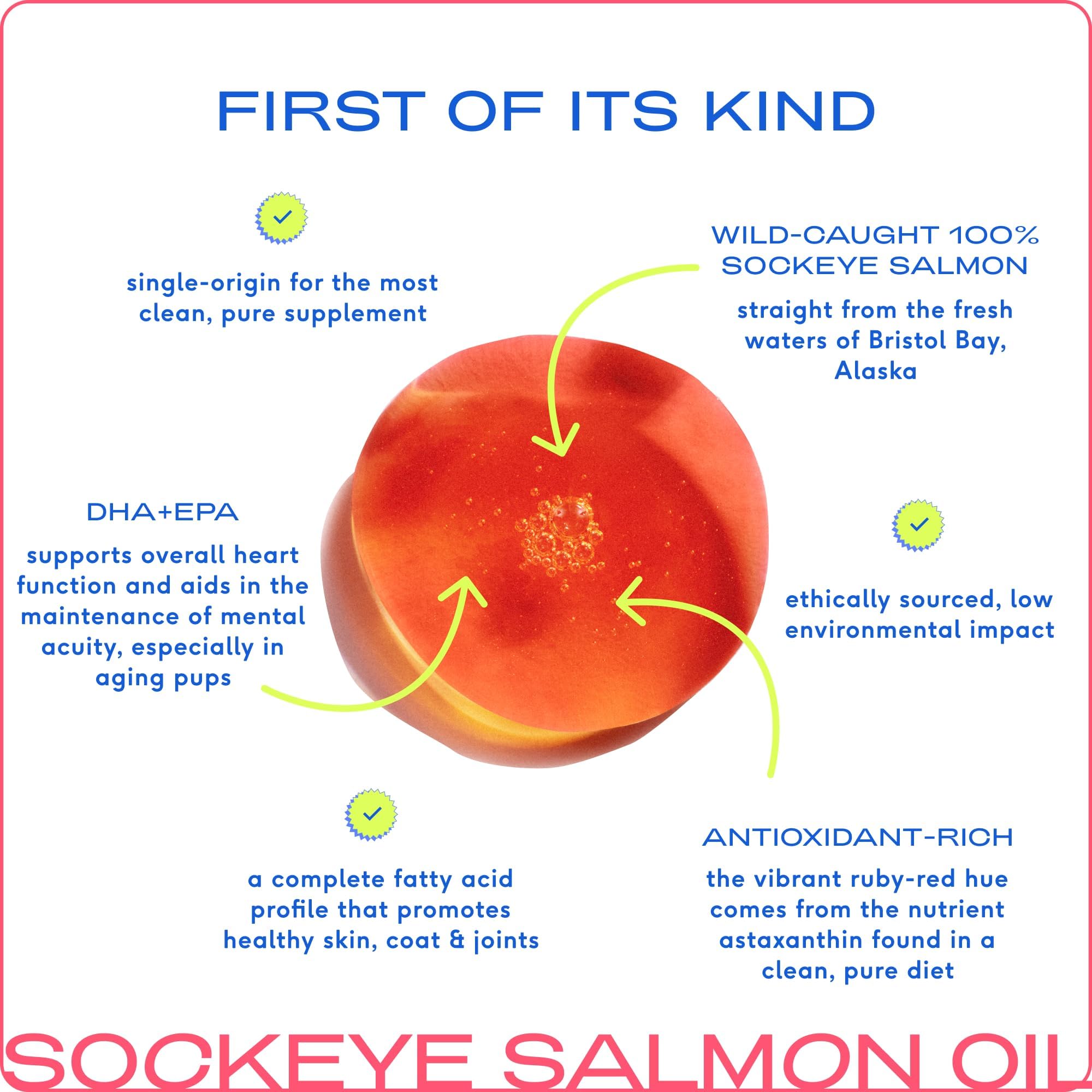 Native Pet Salmon Oil for Dogs & Cats - Pure Omega-3 Fish Oil for Dogs Supplement for Skin & Coat, Joint, & Heart Health & Dog A