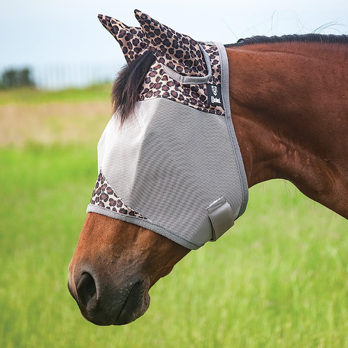 Cashel Crusader Patterned Fly Mask, Standard with Ears (Leopard, Warmblood)