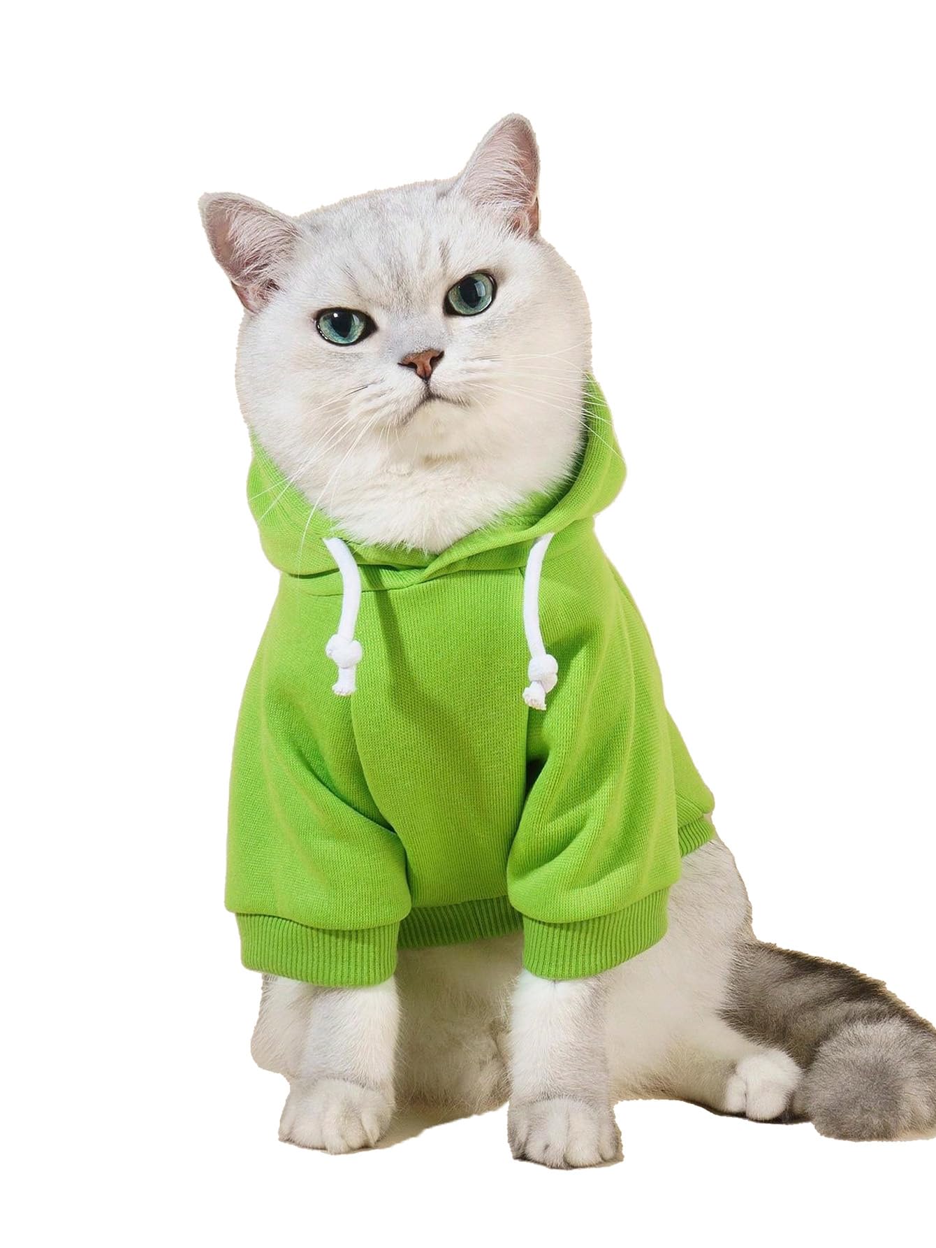 Qwinee Basic Dog Hoodie, Dog Warm Jacket, Cat Apparel, Dog Shirt, Dog Clothes For Puppy Kitten Small Medium Dogs Cats Green Xl