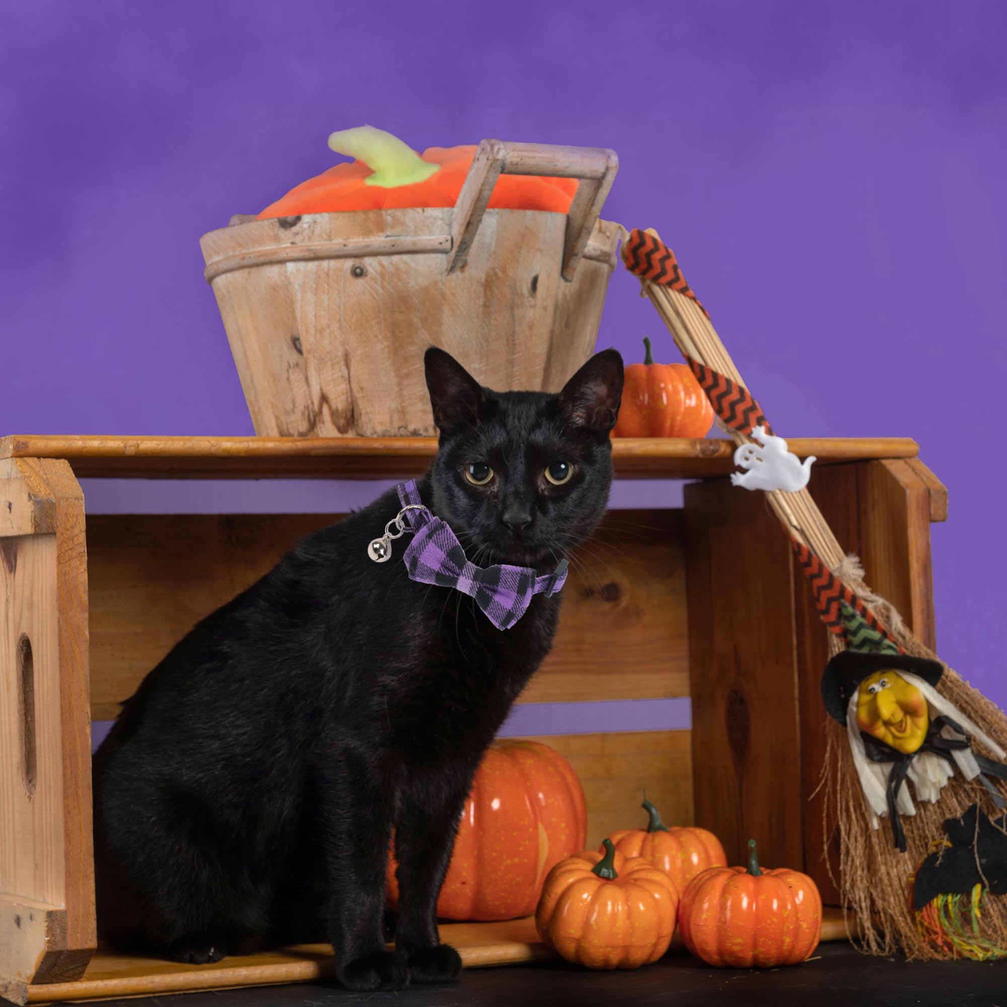 Adoggygo Halloween Cat Collars Breakaway With Removable Bow Tie, 2 Pack Orange Purple Plaid Cat Halloween Bow Collar With Bell For Cats Kittens (Orange&Purple-1)