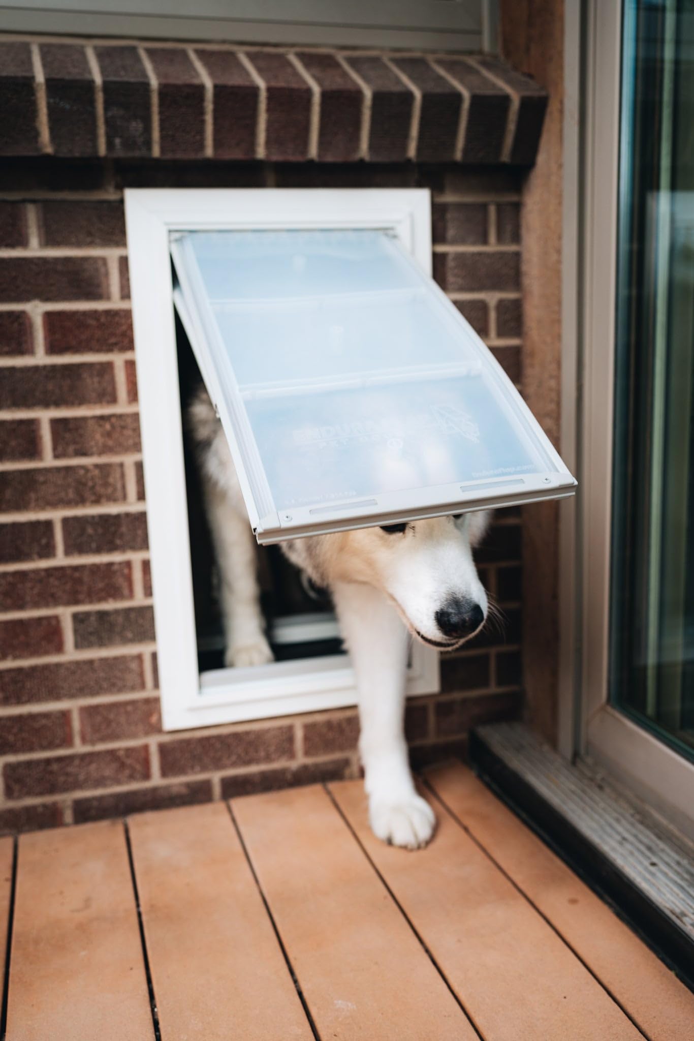Endura Flap Pet Door For Walls In White | Energy-Efficient Double Flap Design For Wall Installations | All-Weather Protection Wi