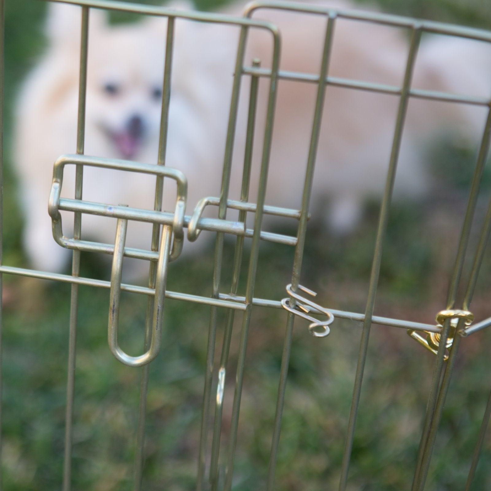 Midwest Homes For Pets Dog Exercise Pen & Playpen, 24'W X 48'H, No Door, Gold Zinc