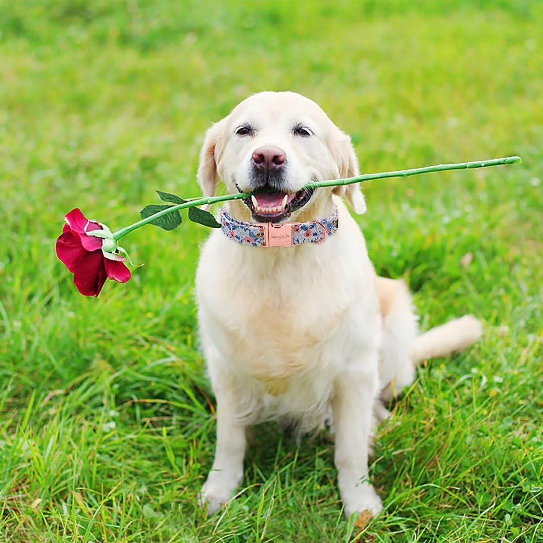 Unique Style Paws Dog Collar Metal Buckle Red Rose Collar Flower Gift Durable Cute Collar For Small Medium Large Boys Girls Dogs