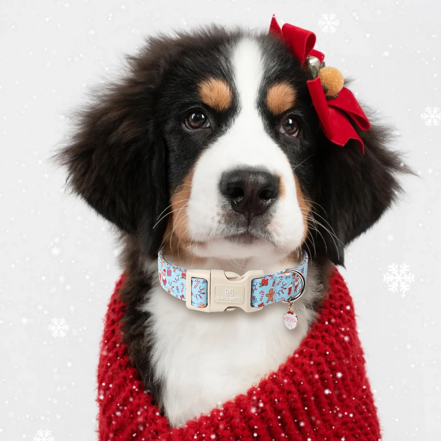 Maca Bates Cute Dog Collar Blue Puppy Collars Durable Comfortable Adjustable Birthday Gift For Xs Small Medium Large Xl Girl Boy
