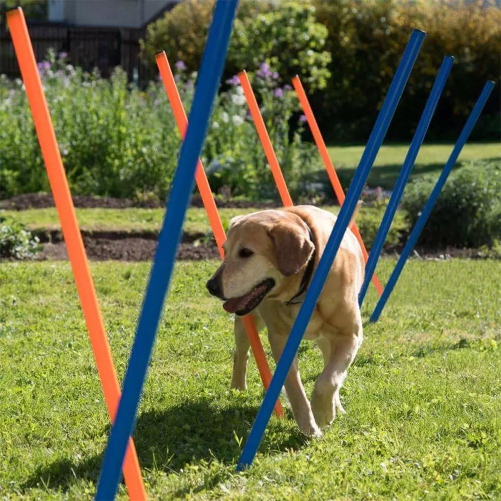 PAWISE Dog Agility Training Equipment,12 Weave Poles for Dogs with Stakes & Carry Bag, Dogg Agility Training Set for Outdoor Obs