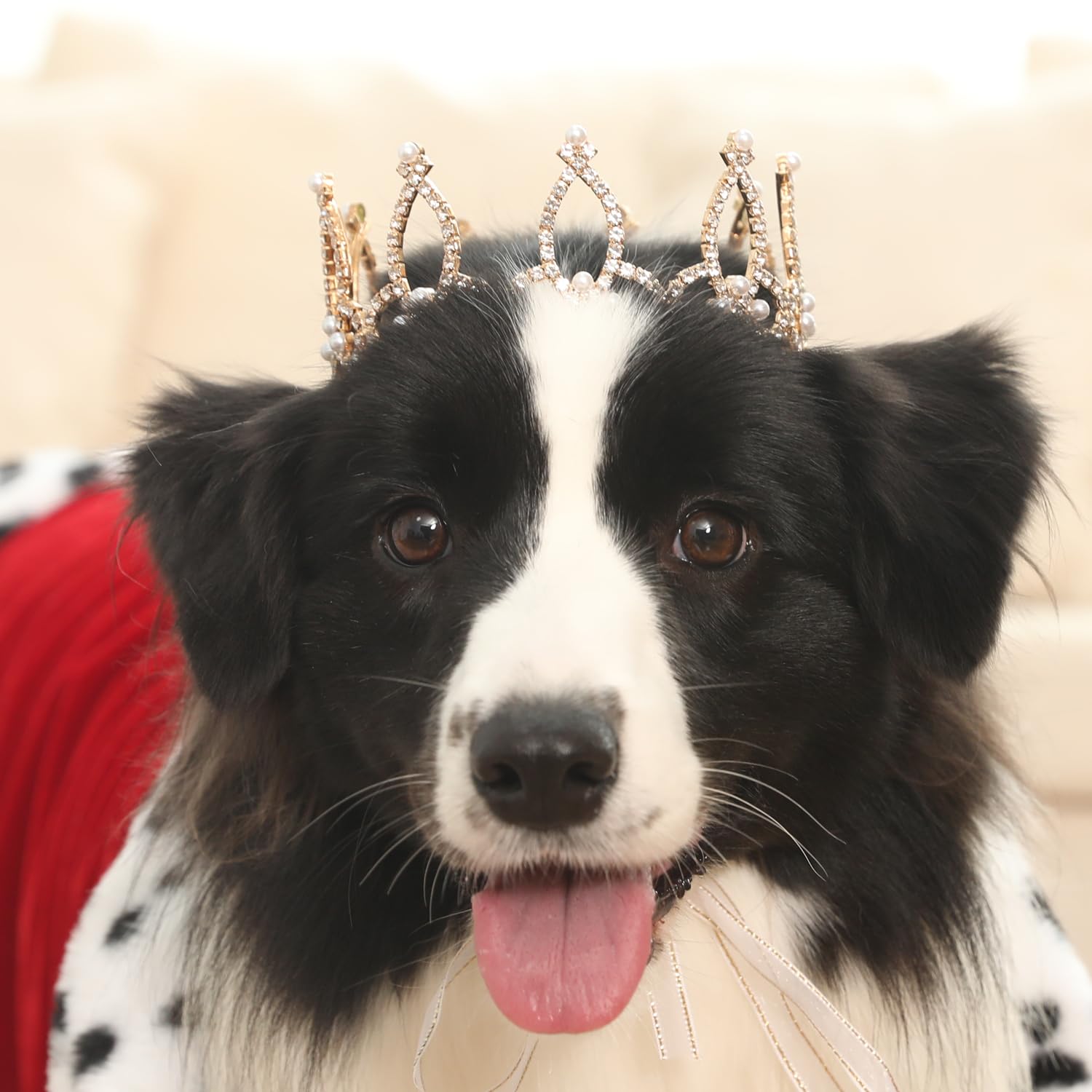 Lovelyshop Pet Series Gold Plated Royal Rhinestone Pearl Full Round Dog/Cat Crown For Rolyal Family Costume Hair Accessories-Lar