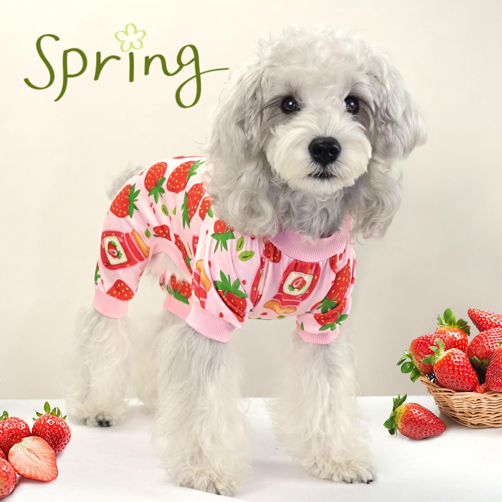 Xpudac 4 Pack Dog Pajamas For Small Dogs Girl Boy Soft Stretchy Pjs Summer Puppy Clothes For Doggie Pet Outfits, Small