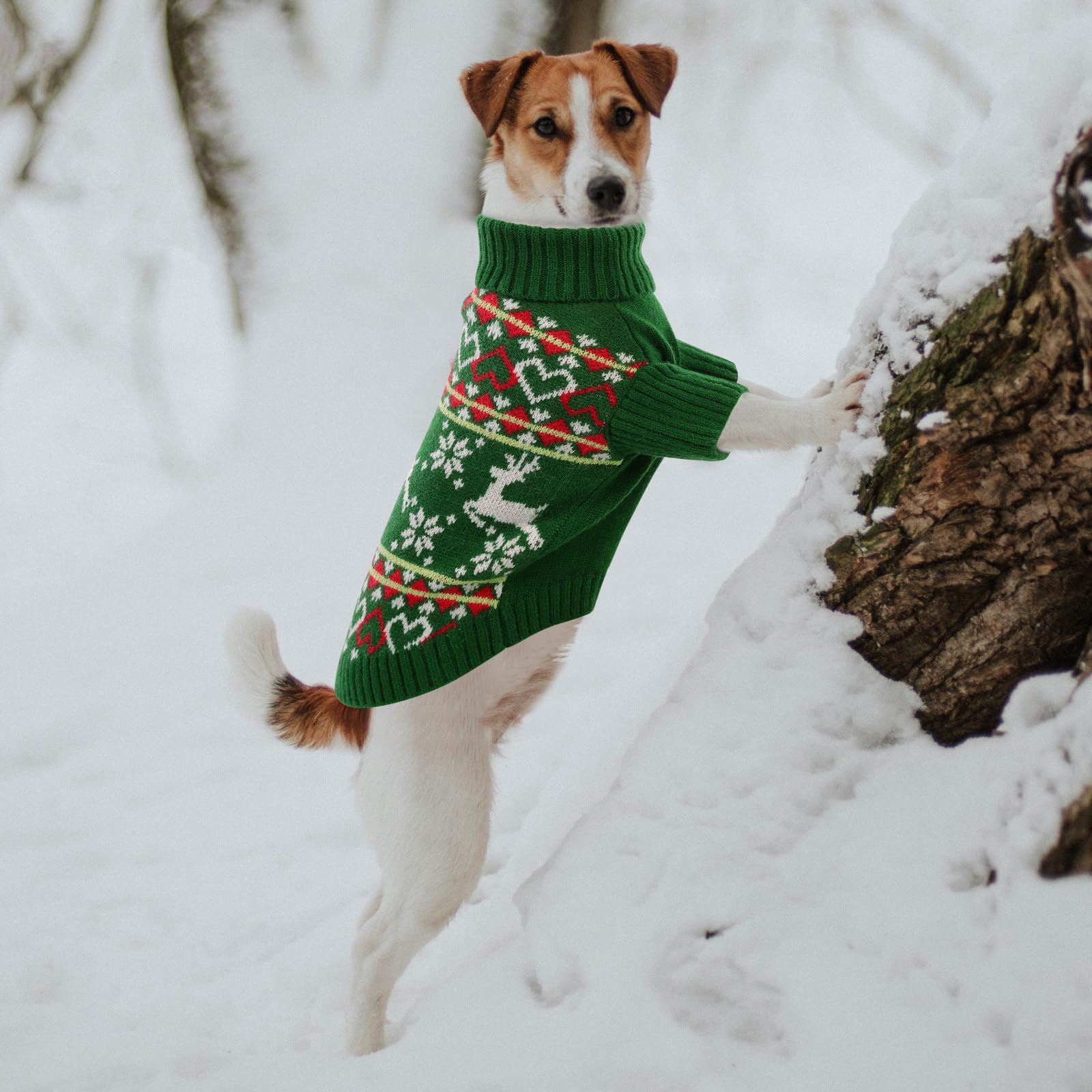 Queenmore Dog Christmas Sweater - Turtleneck Knitted Pullover Xmas Clothes, Warm Sweatshirt For Small Dogs, Boy & Girl, Xs