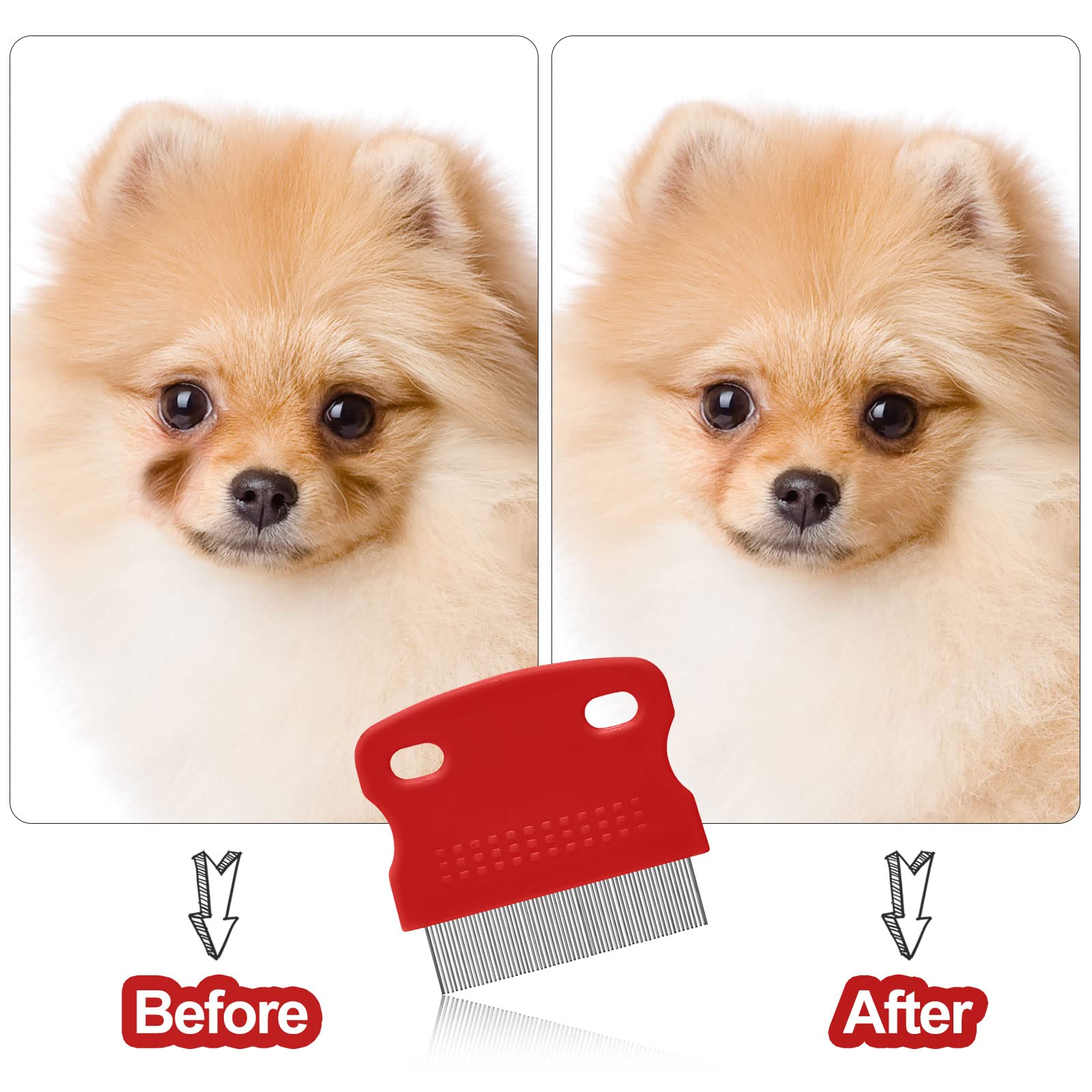 Boao Dog Eye Combs Set - 5 Pieces Tear Stain Remover for Small Dogs, Plastic, Black, Model Boao-4316