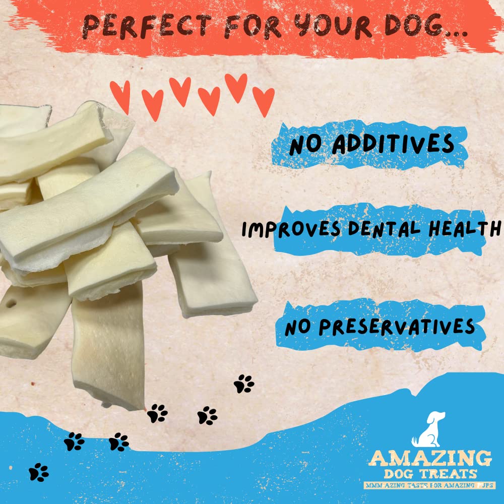 Amazing Dog Treats - Beef Cheek Strips Premium Dog Chew (10 Inch - 5 Pack) - NO Odor - Thick Cut - Rawhide Alternative - Beef Ch
