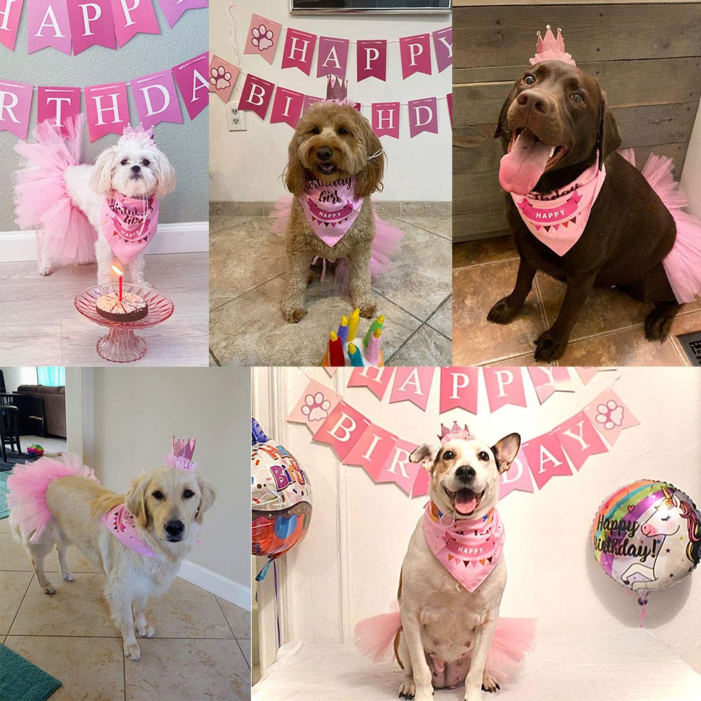 Adoggygo Dog Birthday Hat Bandana Girl - Puppy Birthday Party Supplies - Pink Puppy Tutu Hat Scarf Banner Set For Small Dogs (Sm