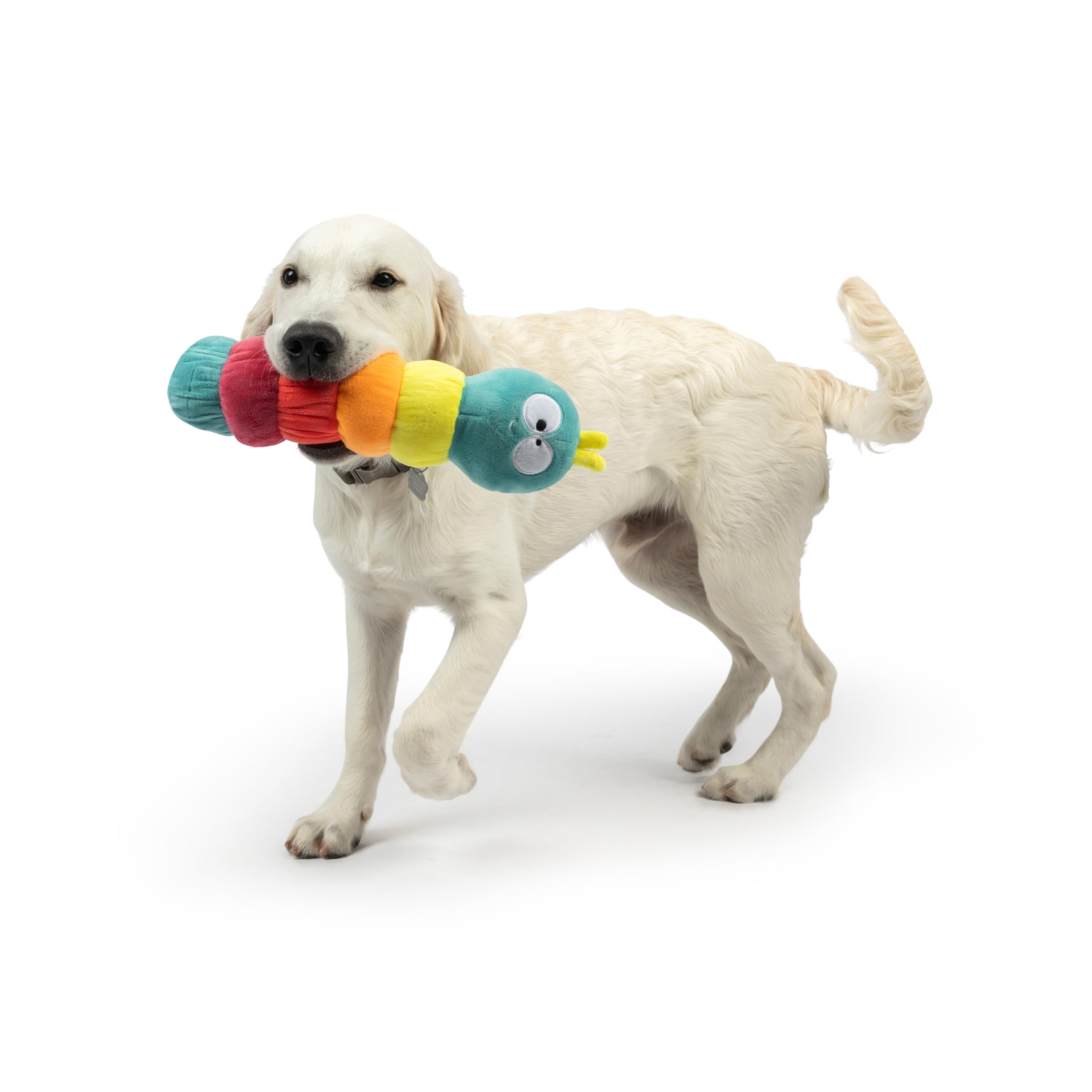 Huxley & Kent For Dogs - Fetchies Caterpillar (Small) - Power Plush Pup Toy With Squeaker - Gift For Pets - Fun, Durable - H&K S