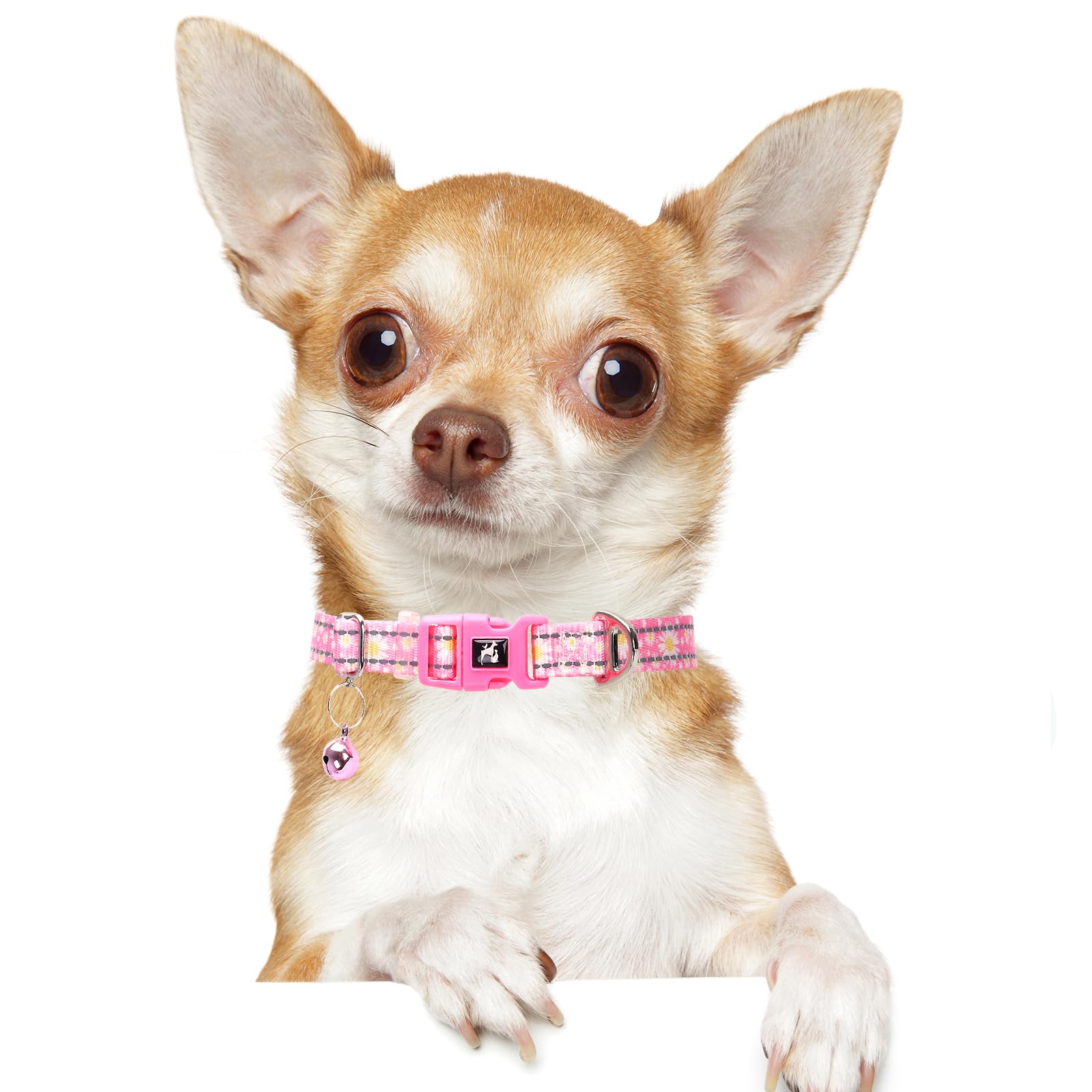 Daisy Reflective Nylon Puppy Collar With Bell - Adjustable Xxs/Xs Small Dog Collar For Chihuahua, Pomeranian, Yorkie - Lightweig