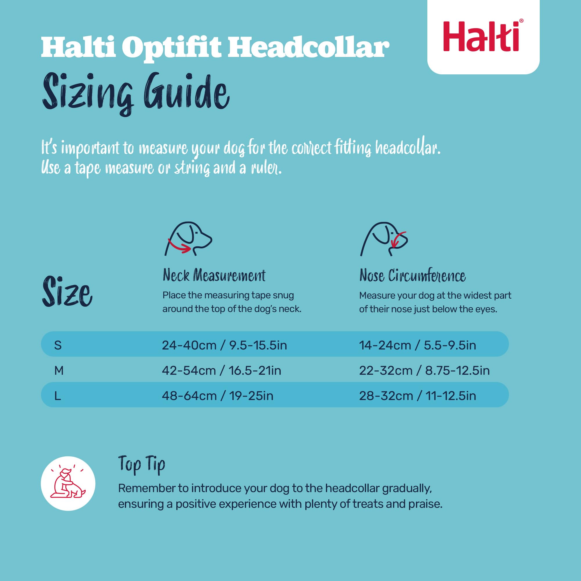 HALTI Optifit Headcollar Size Large & HALTI Training Leash Size Large, Black Combination Pack - Stop Your Dog Pulling on the Lea