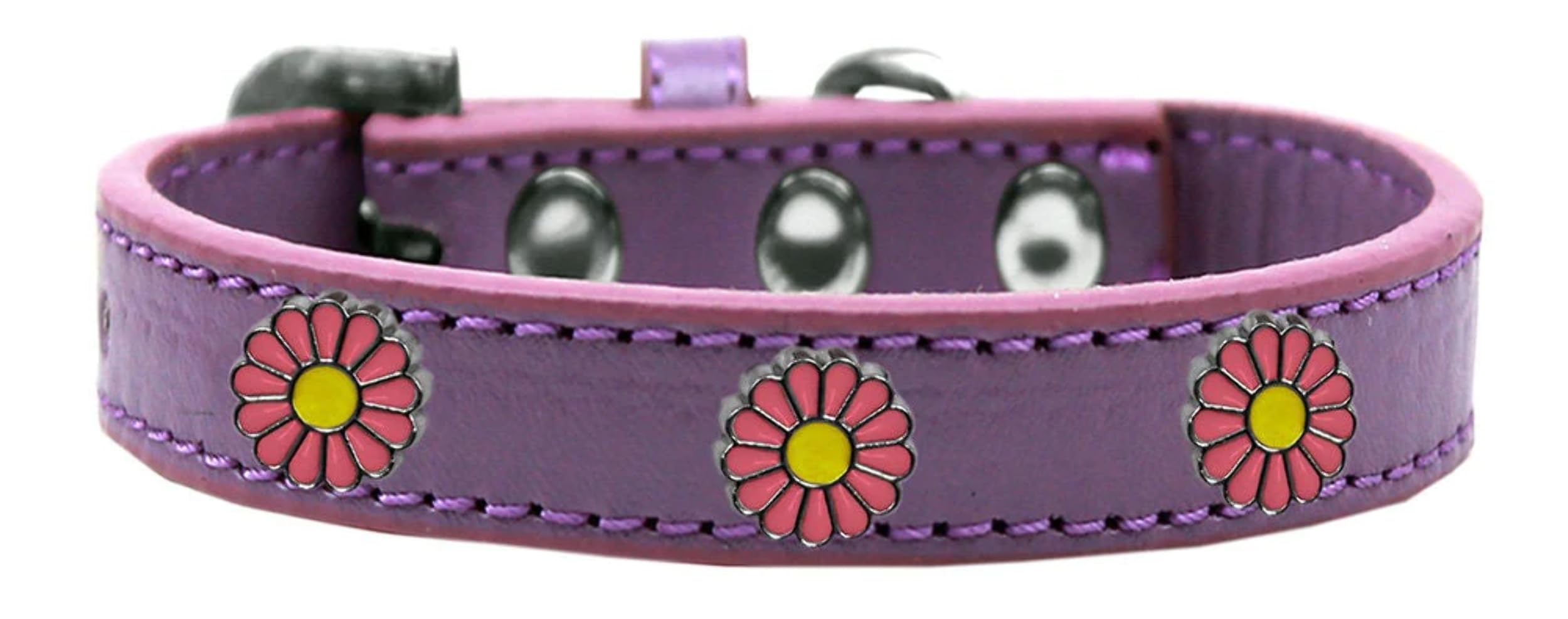 Dog, Puppy and Pet Widget Fashion Collar, "Pink Daisies" Aqua 16