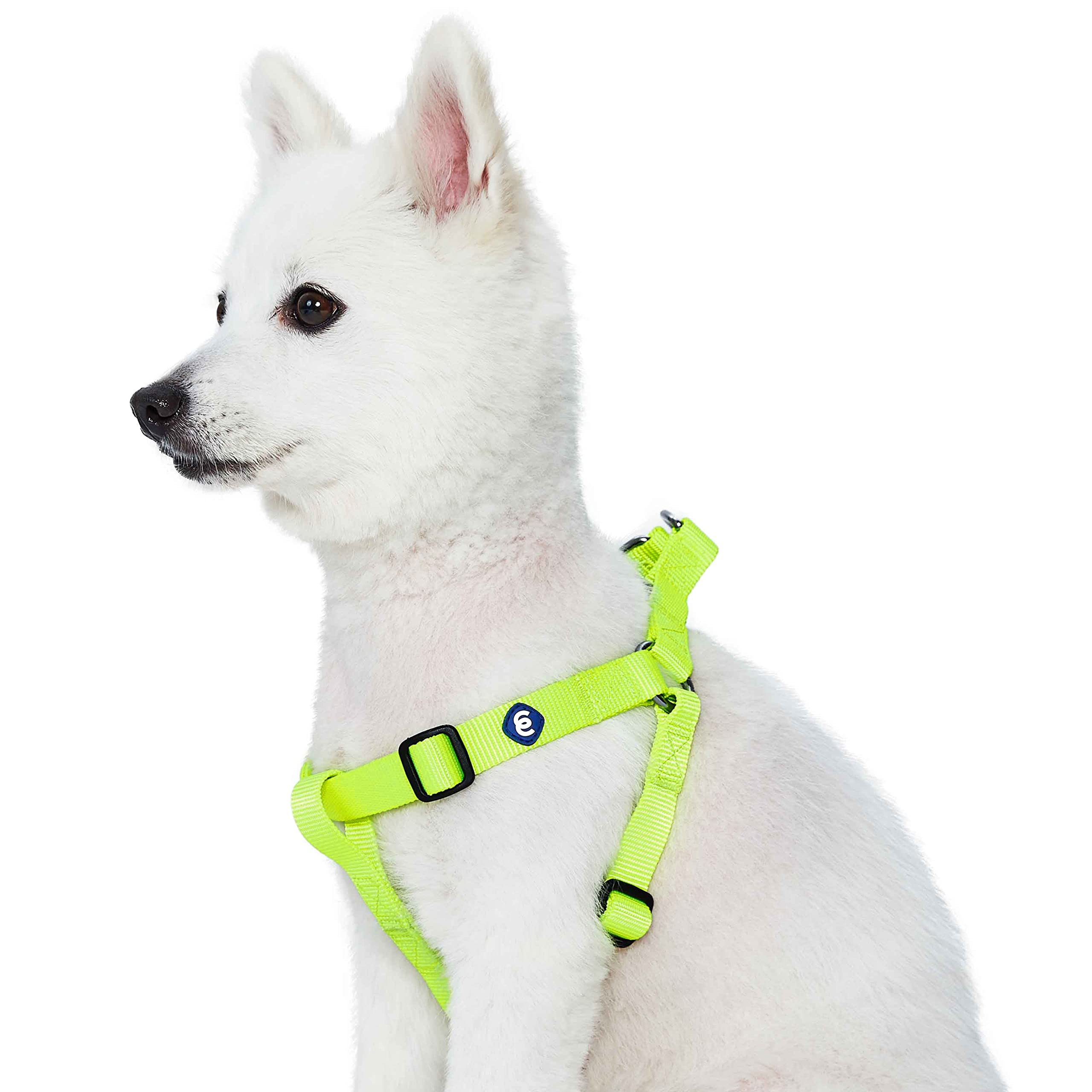Blueberry Pet Essentials Classic Durable Solid Nylon Step-In Dog Harness, Chest Girth 16.5' - 21.5', Highlighter Yellow, Small, Adjustable Harnesses For Puppy Boy Girl Dogs